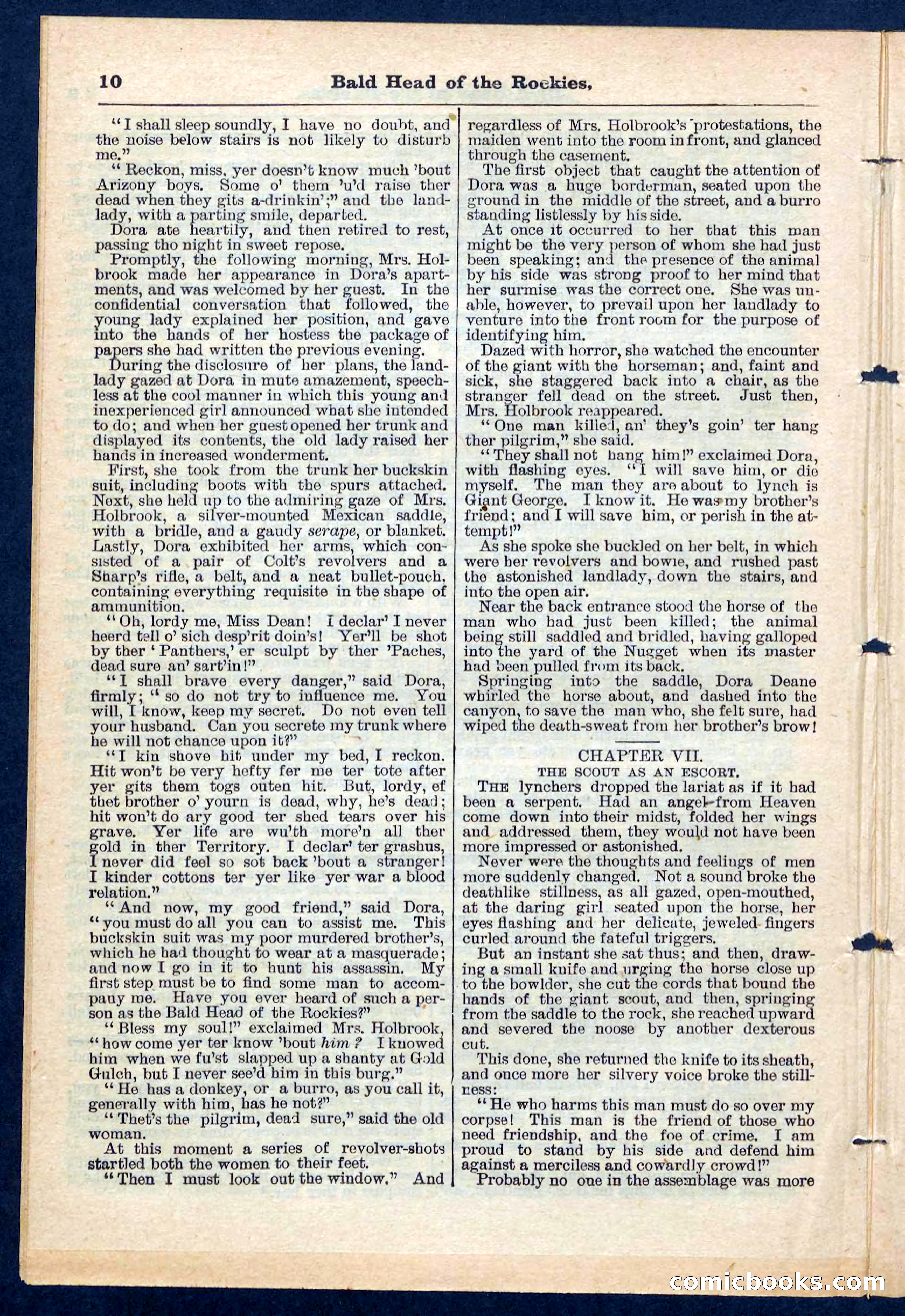 Beadle's Pocket Library No. 217 — page 10 of 32