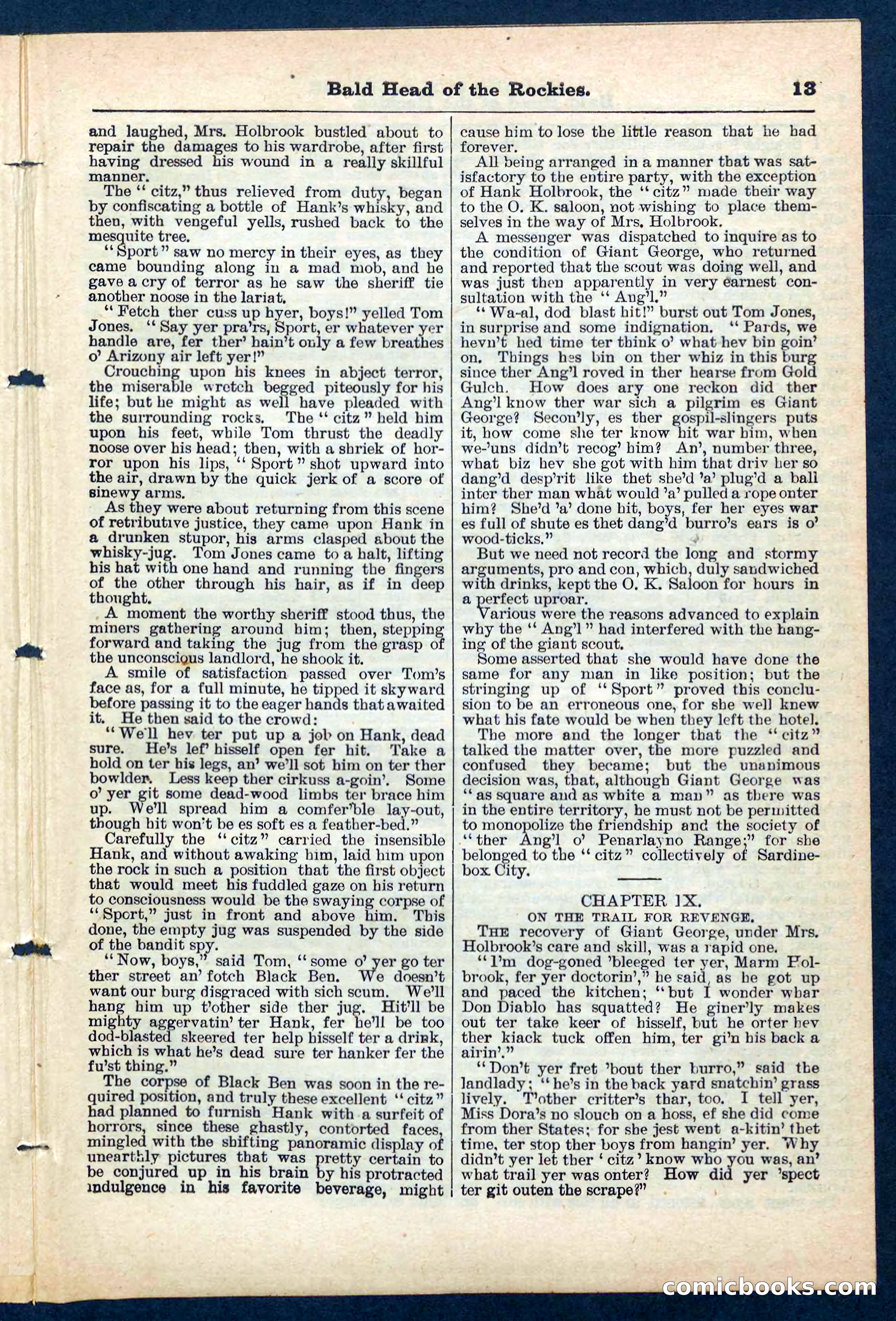 Beadle's Pocket Library No. 217 — page 13 of 32