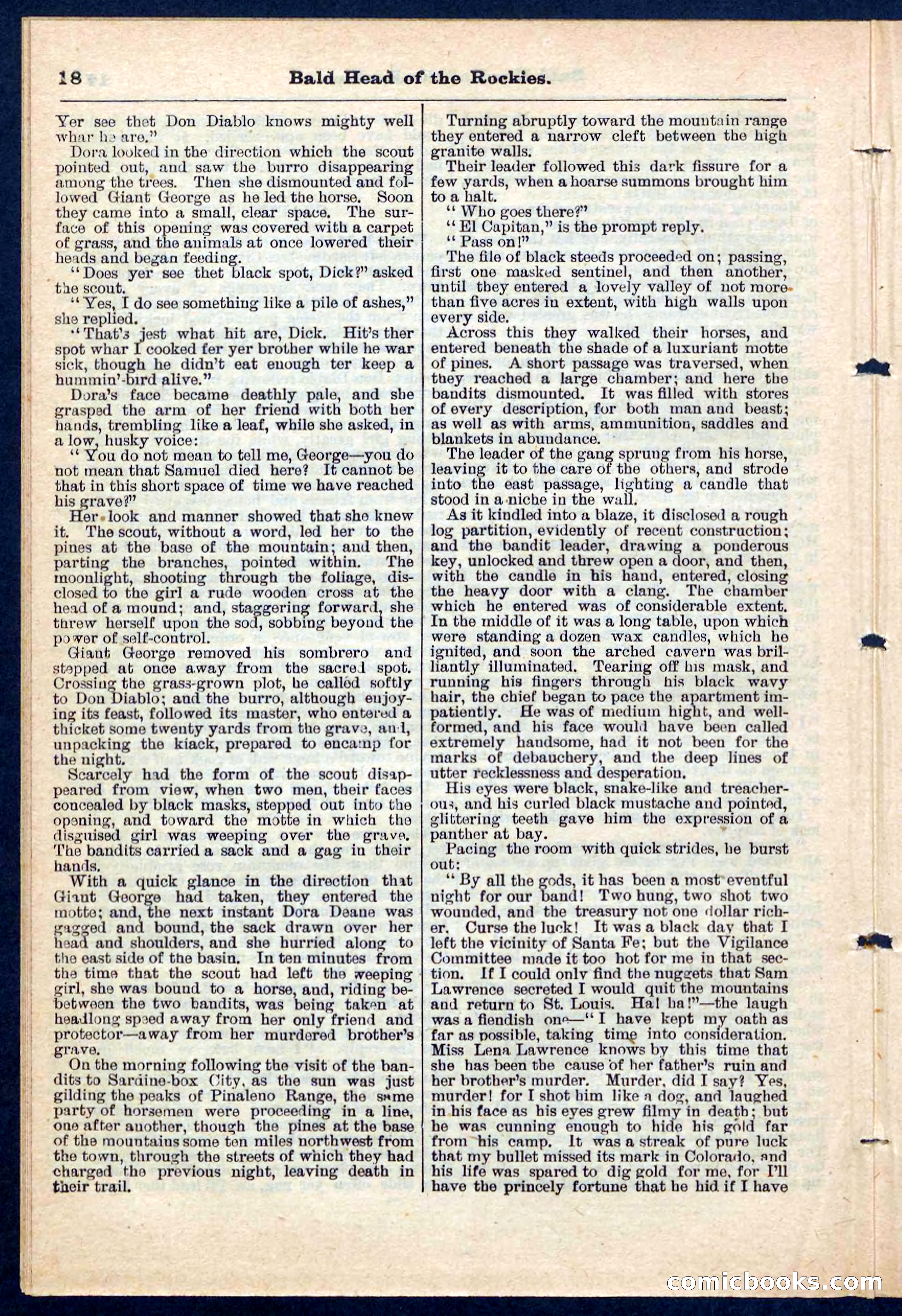 Beadle's Pocket Library No. 217 — page 18 of 32