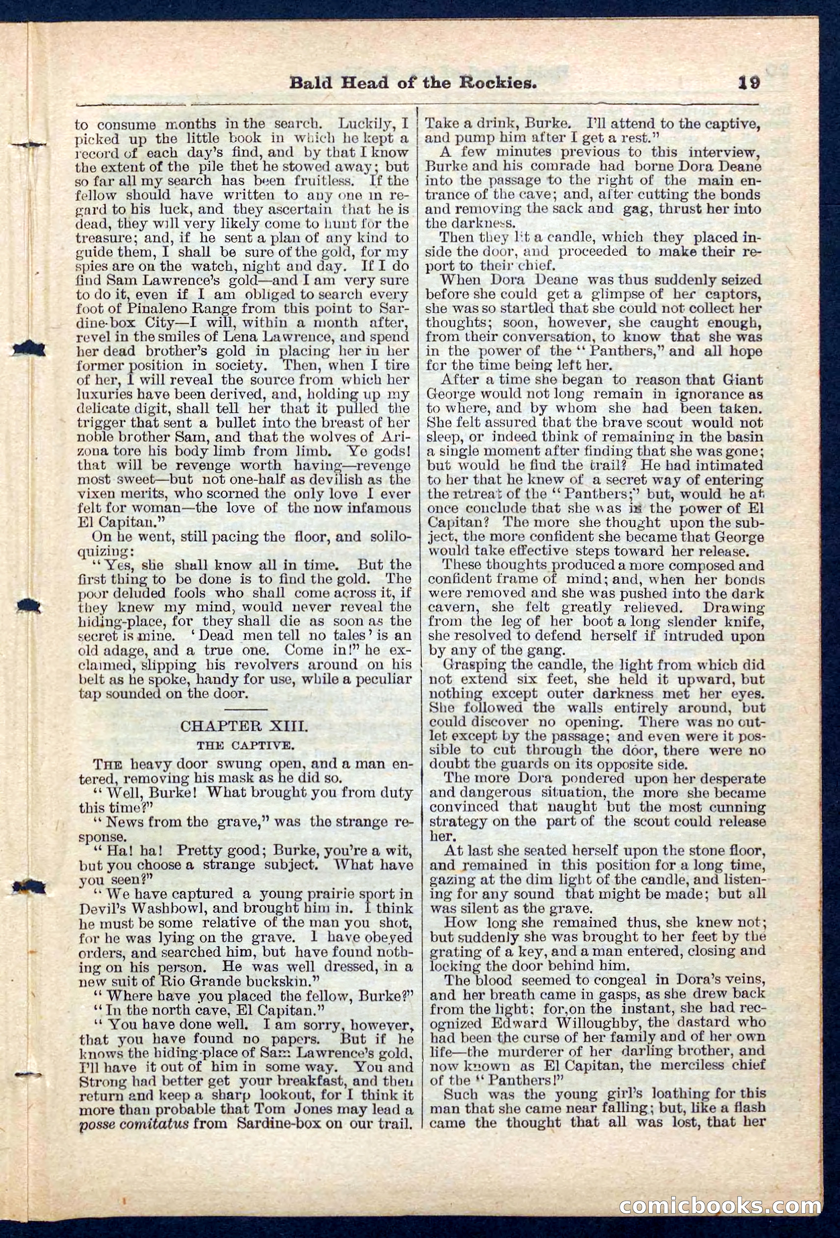 Beadle's Pocket Library No. 217 — page 19 of 32