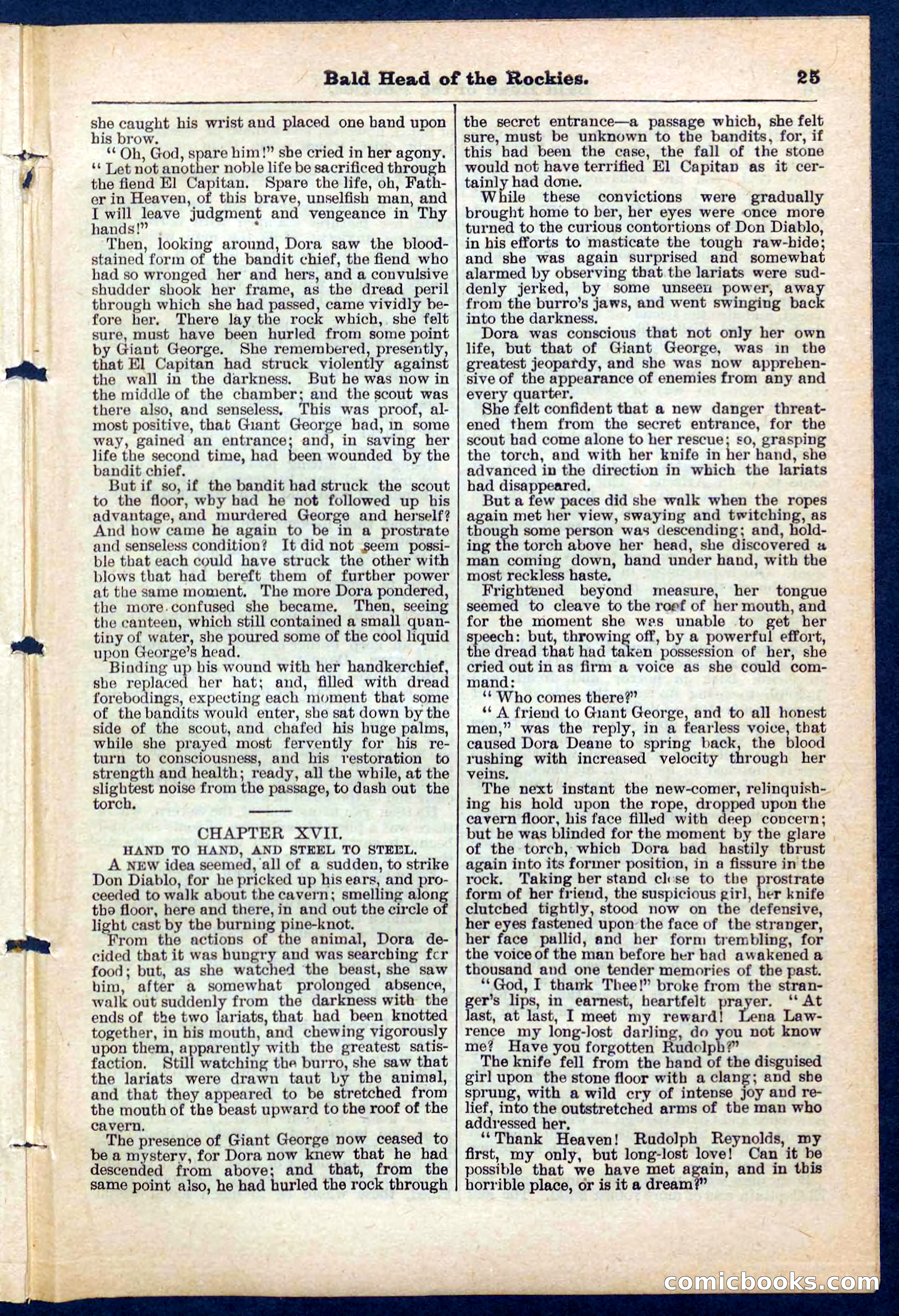 Beadle's Pocket Library No. 217 — page 25 of 32