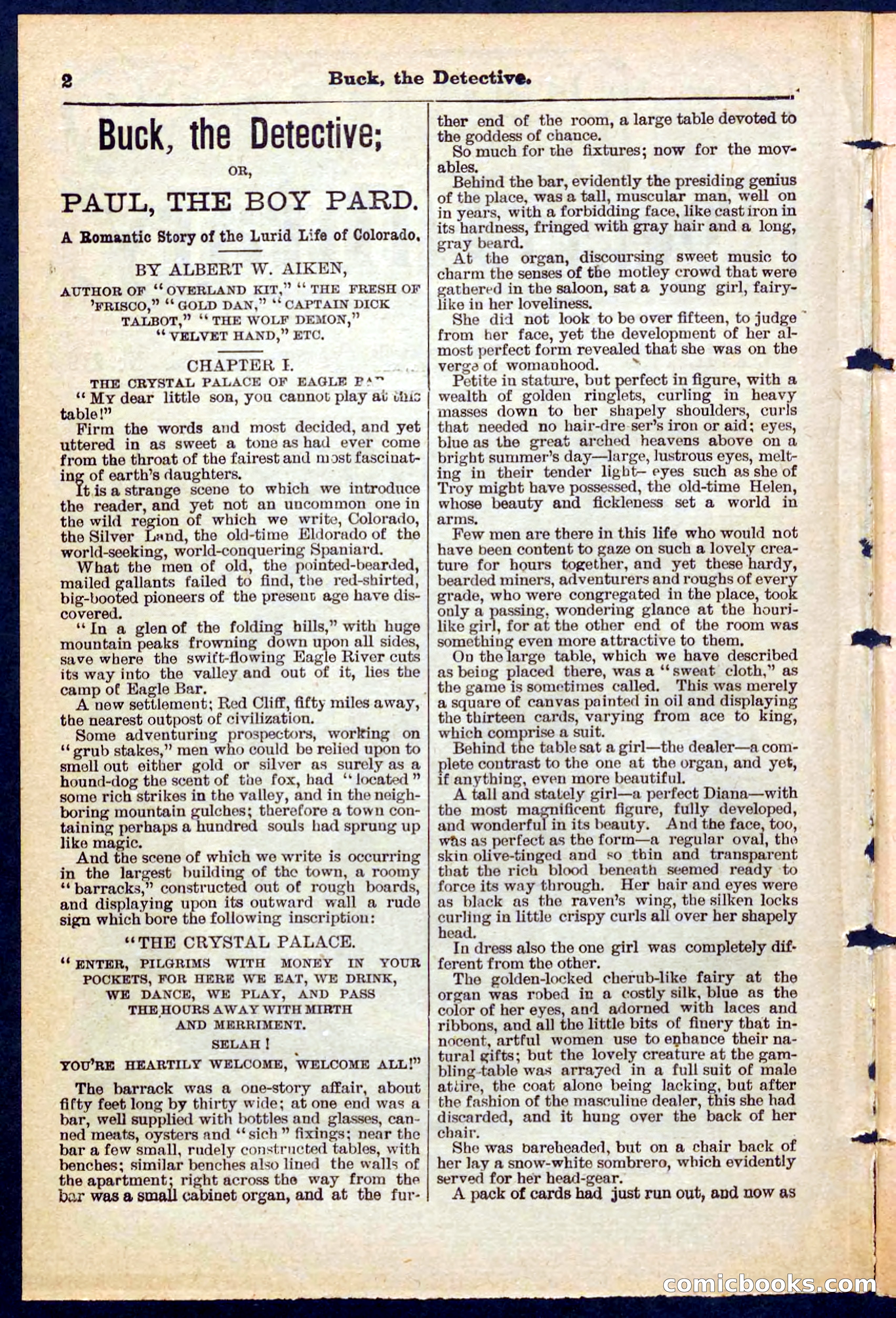 Beadle's Pocket Library No. 219: Buck the Detective — page 2 of 32