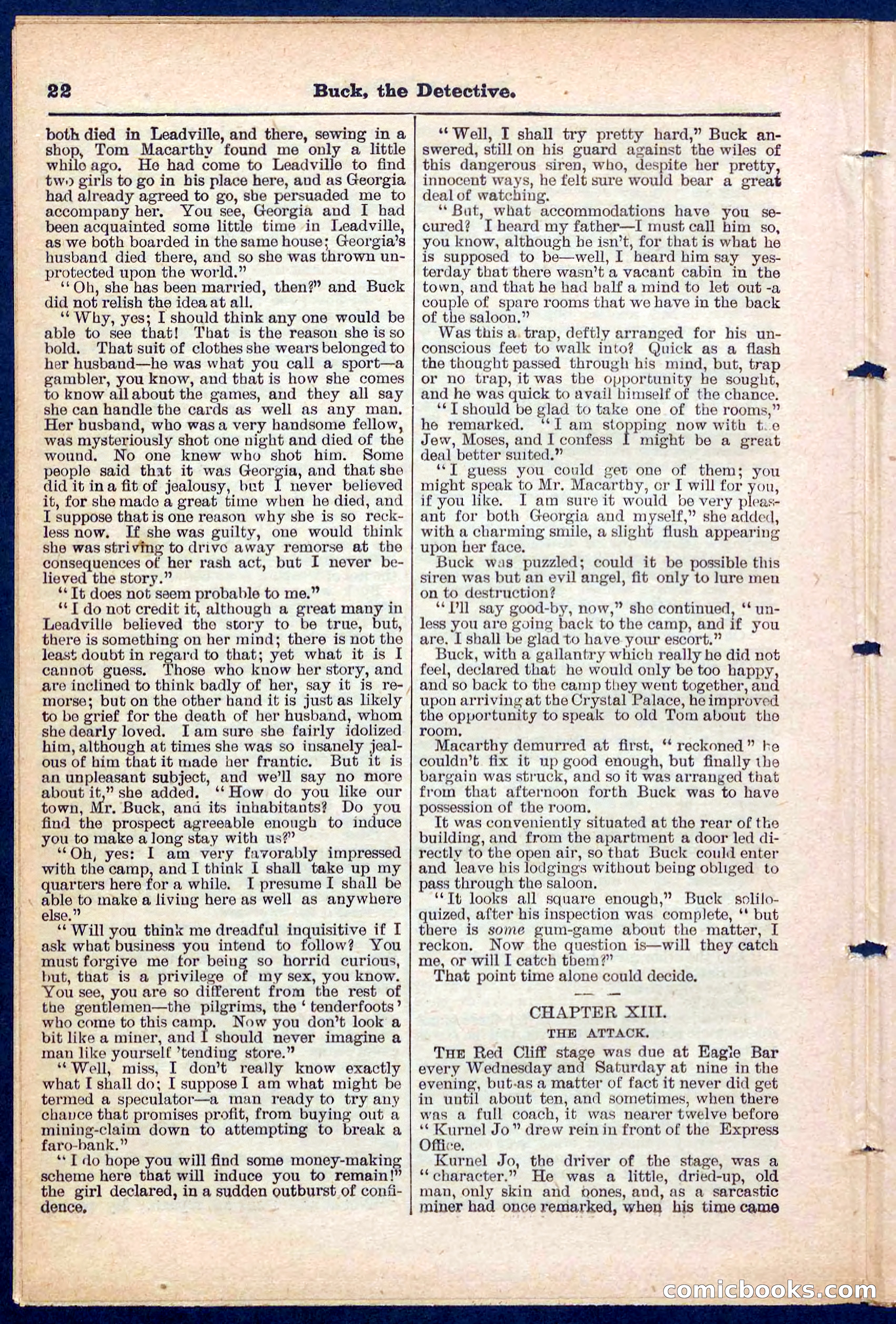 Beadle's Pocket Library No. 219: Buck the Detective — page 22 of 32