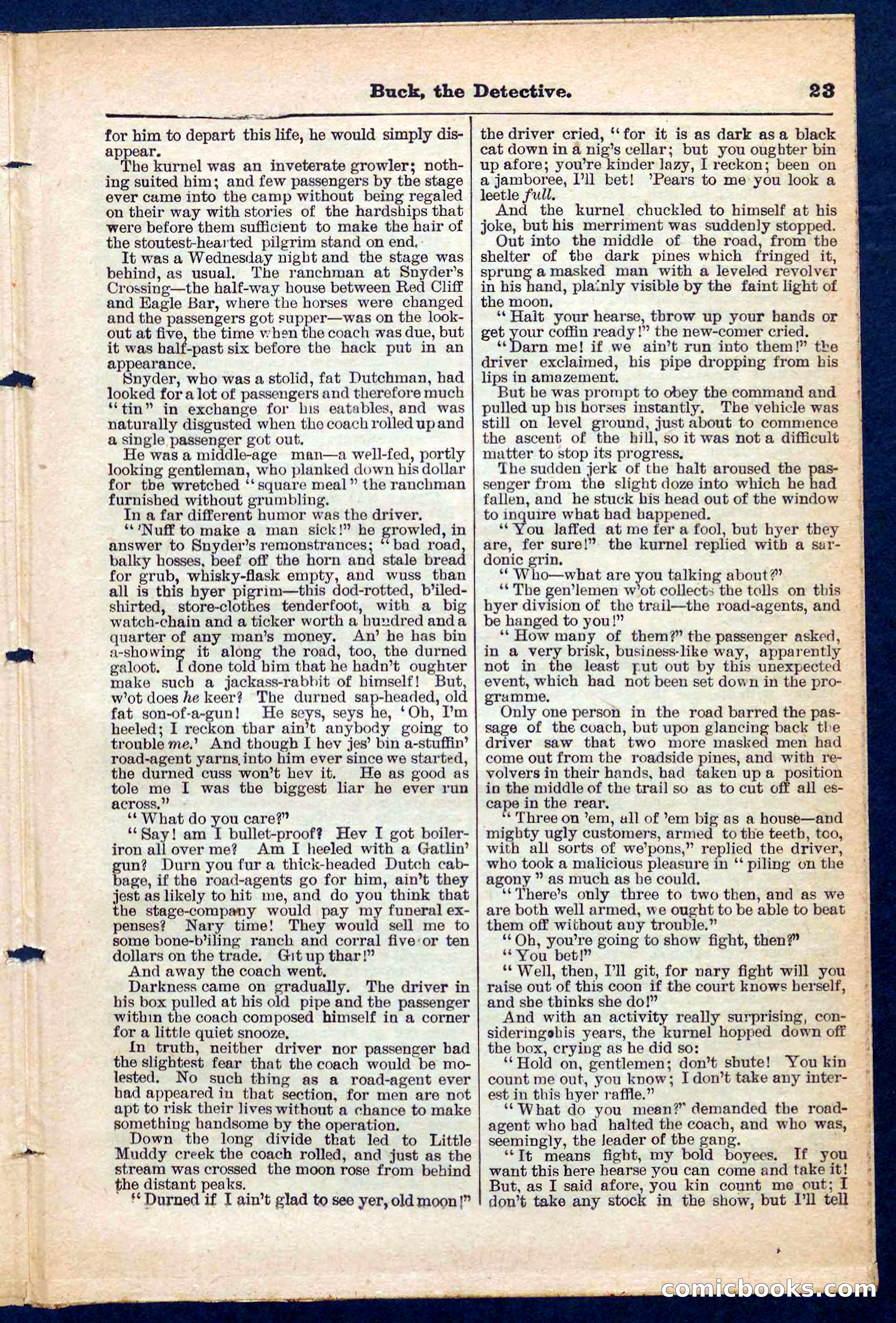 Beadle's Pocket Library No. 219: Buck the Detective — page 23 of 32