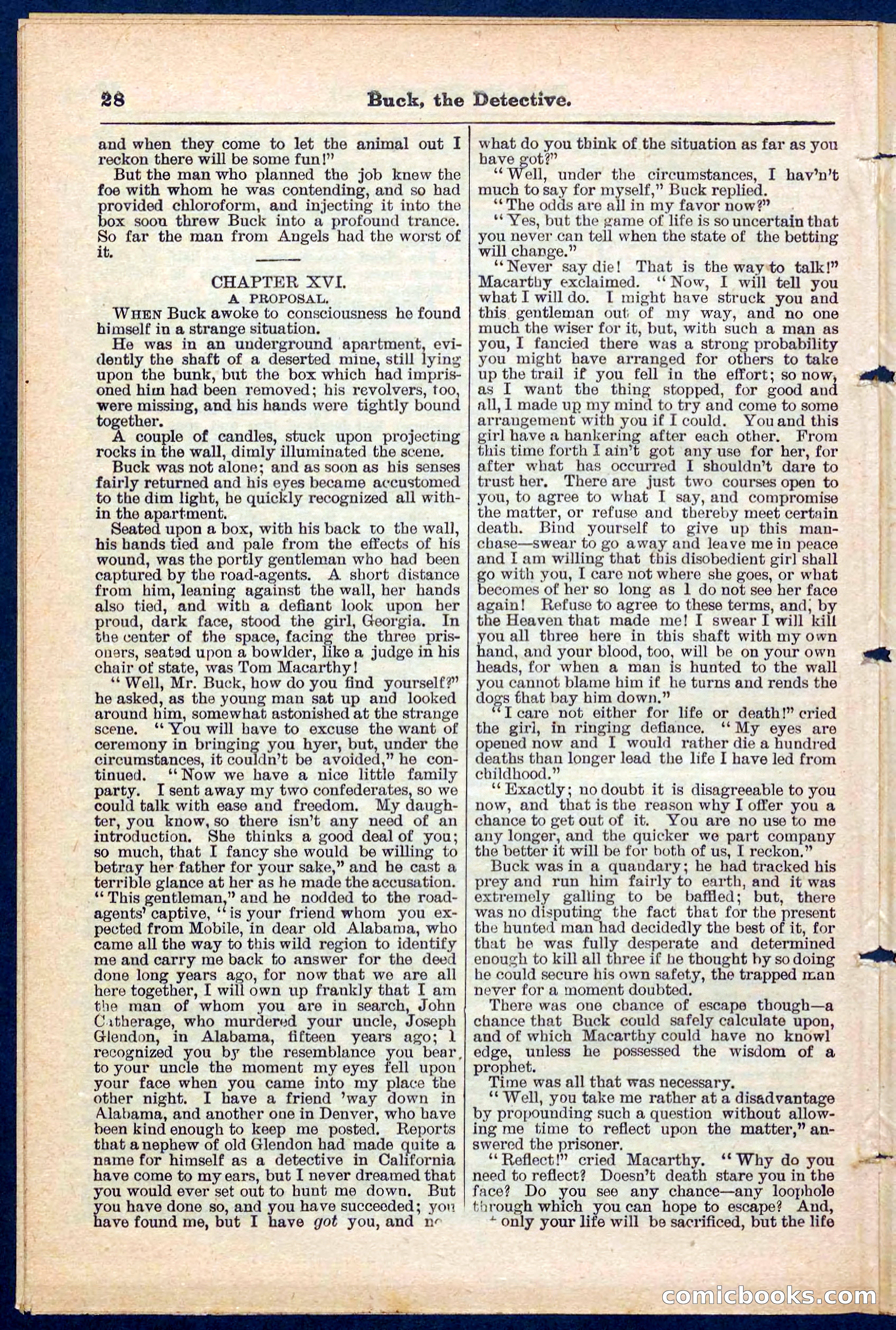 Beadle's Pocket Library No. 219: Buck the Detective — page 28 of 32