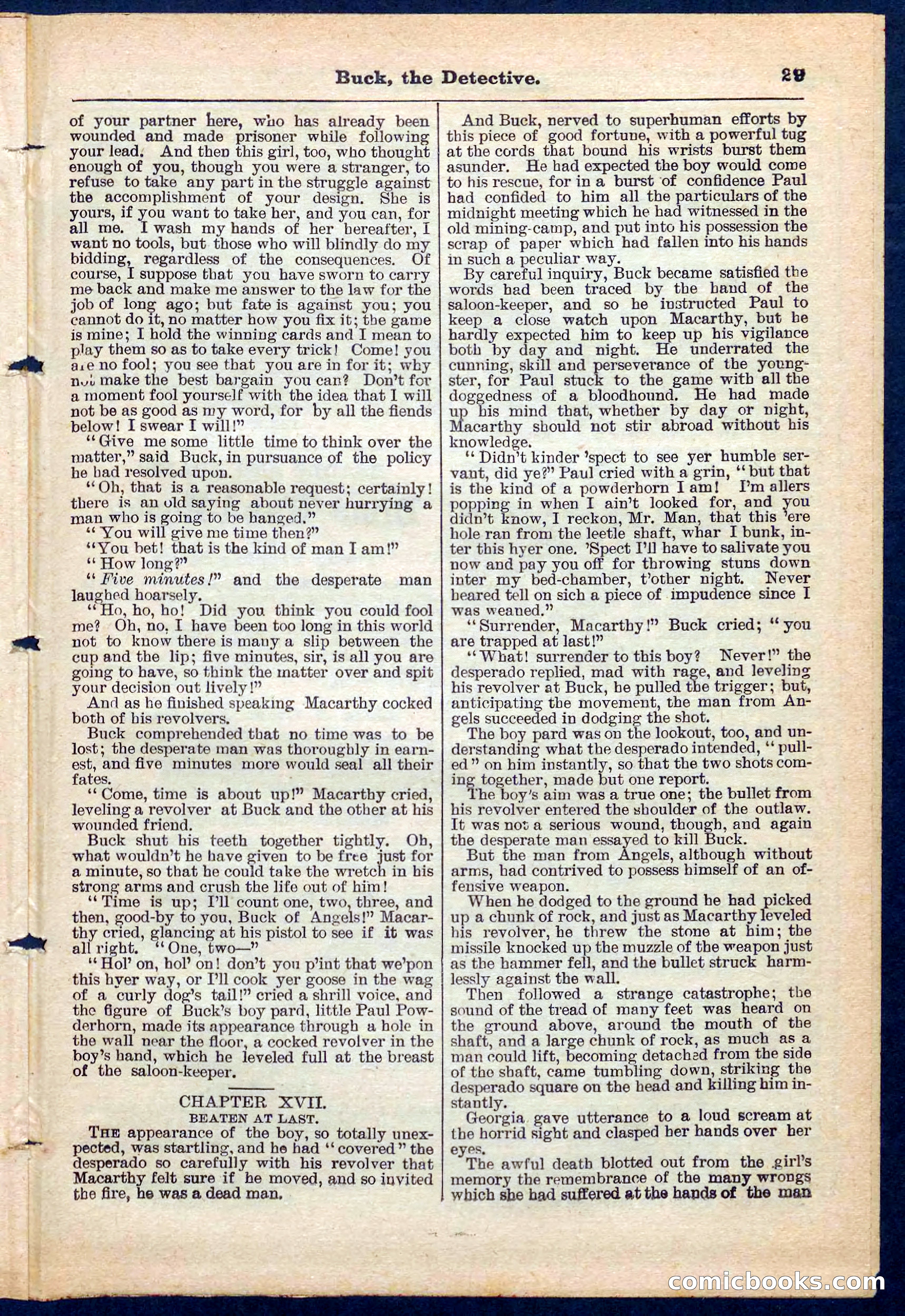 Beadle's Pocket Library No. 219: Buck the Detective — page 29 of 32