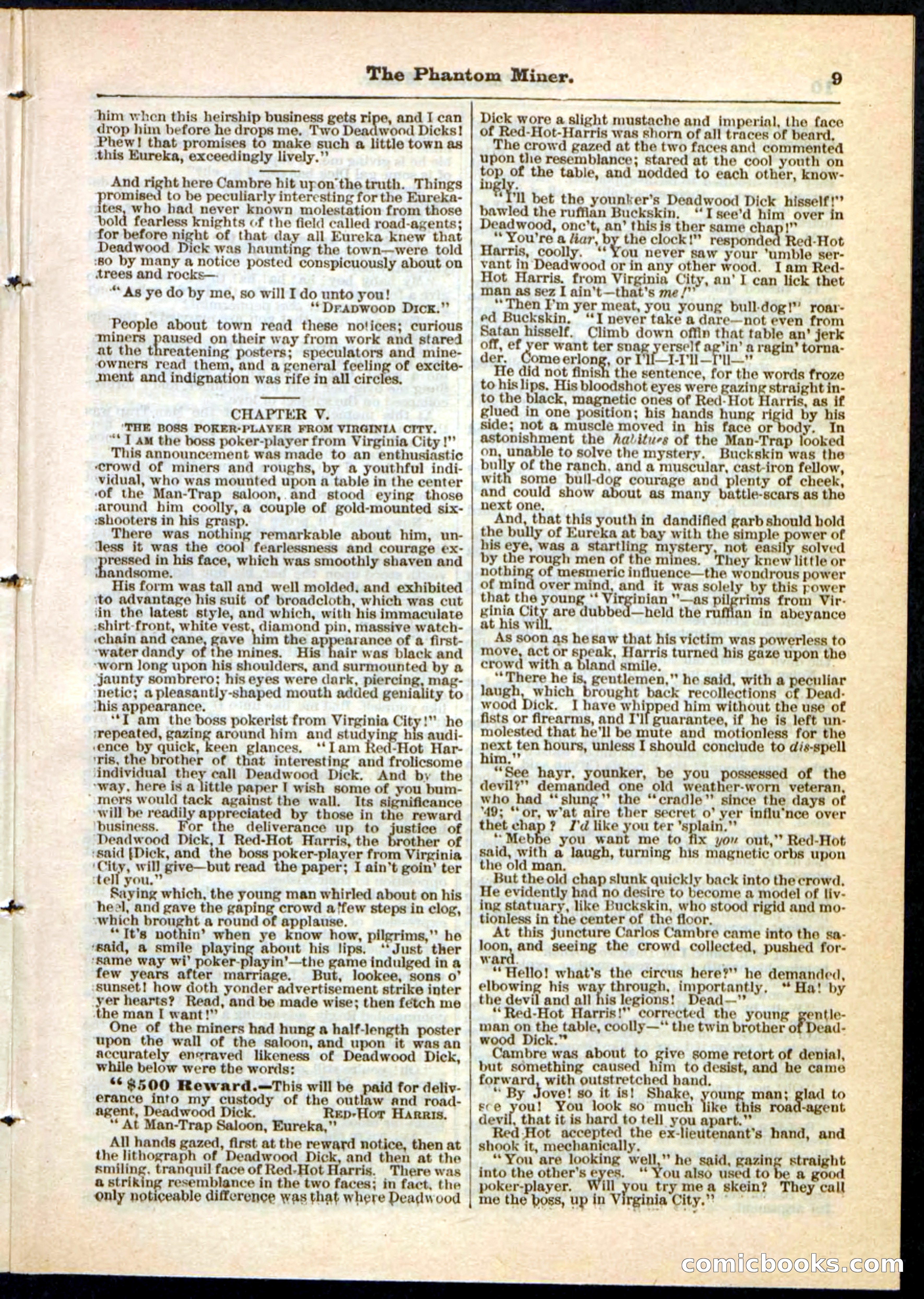 Beadle's Pocket Library No. 22 — page 9 of 32