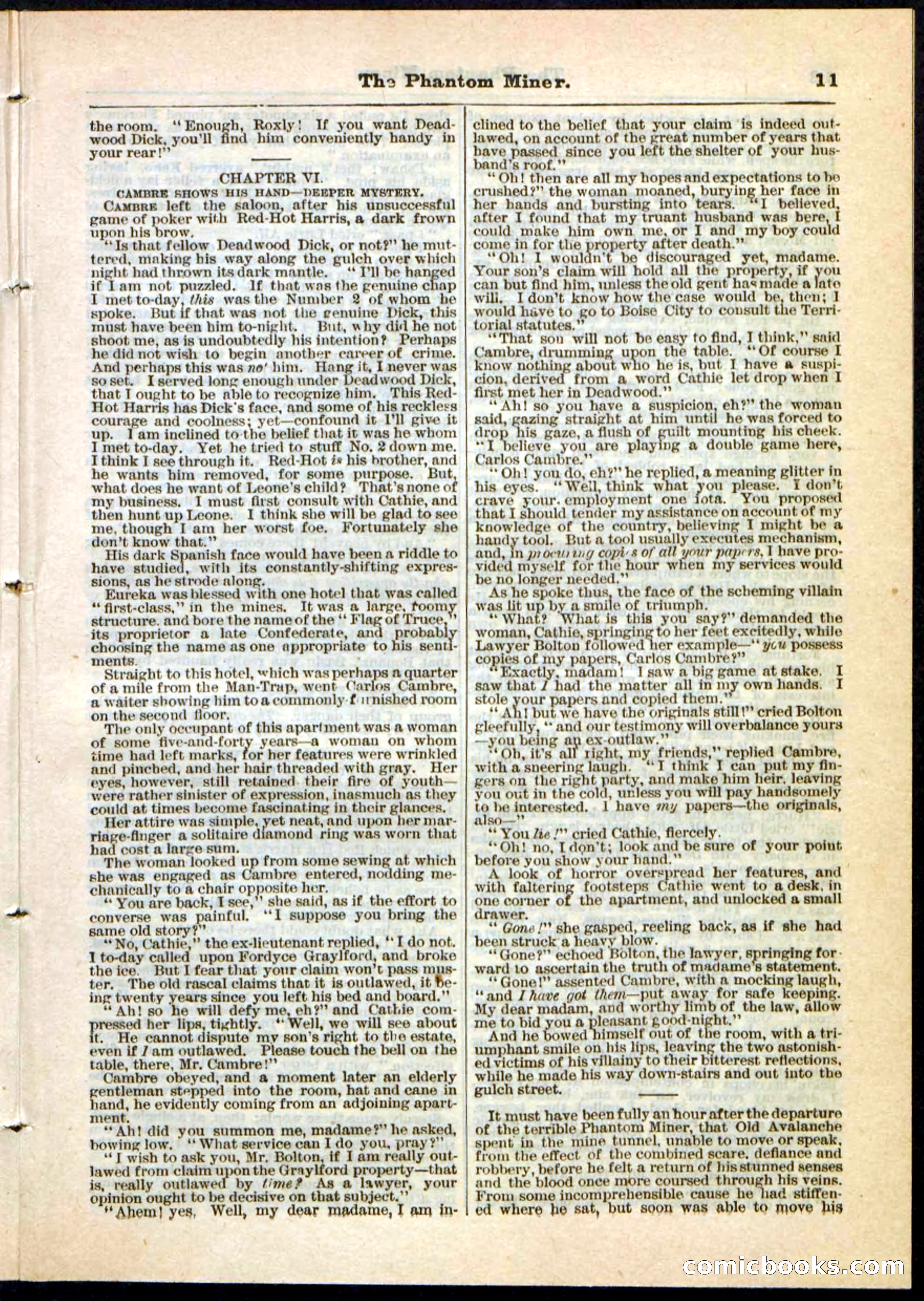 Beadle's Pocket Library No. 22 — page 11 of 32