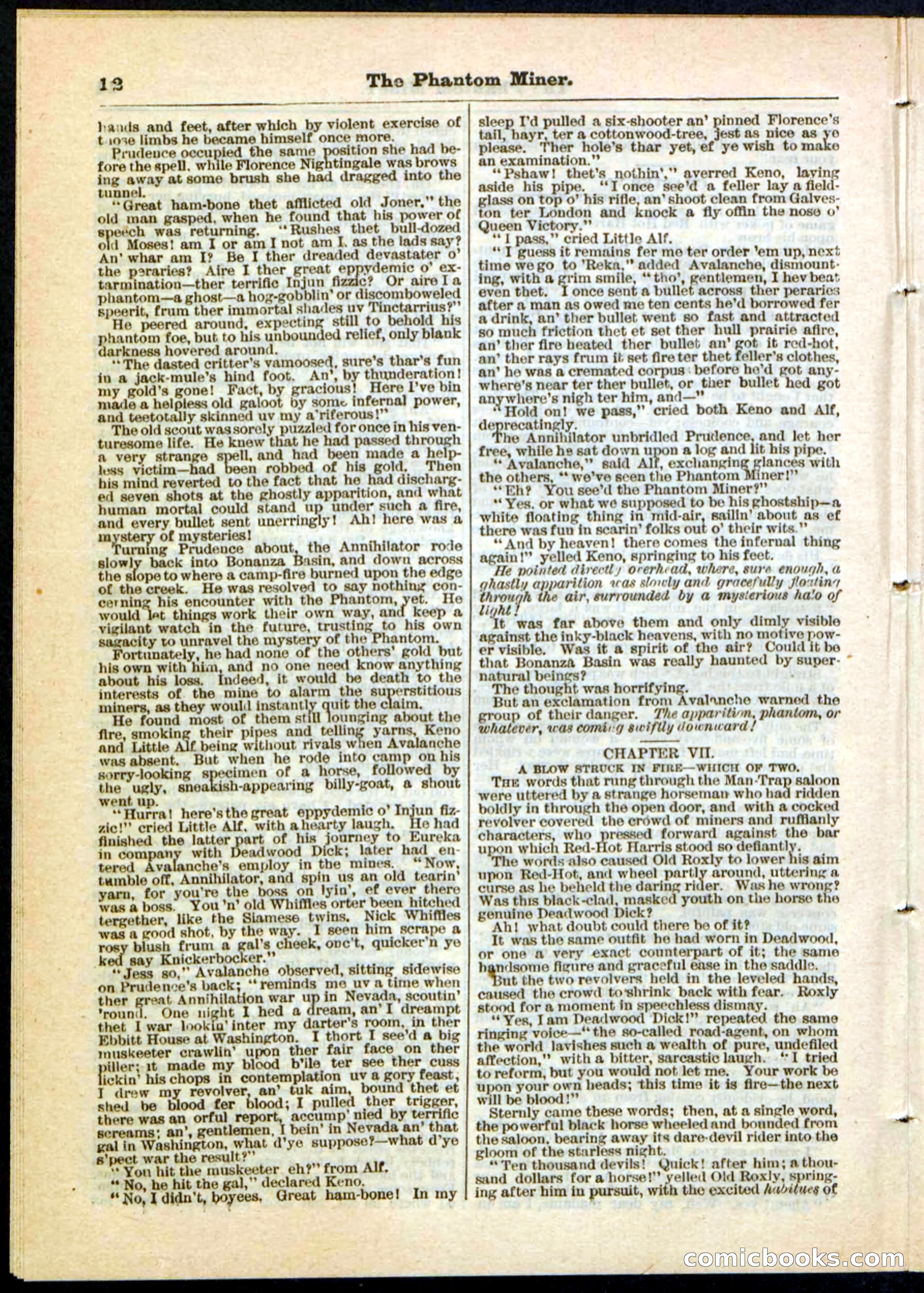 Beadle's Pocket Library No. 22 — page 12 of 32