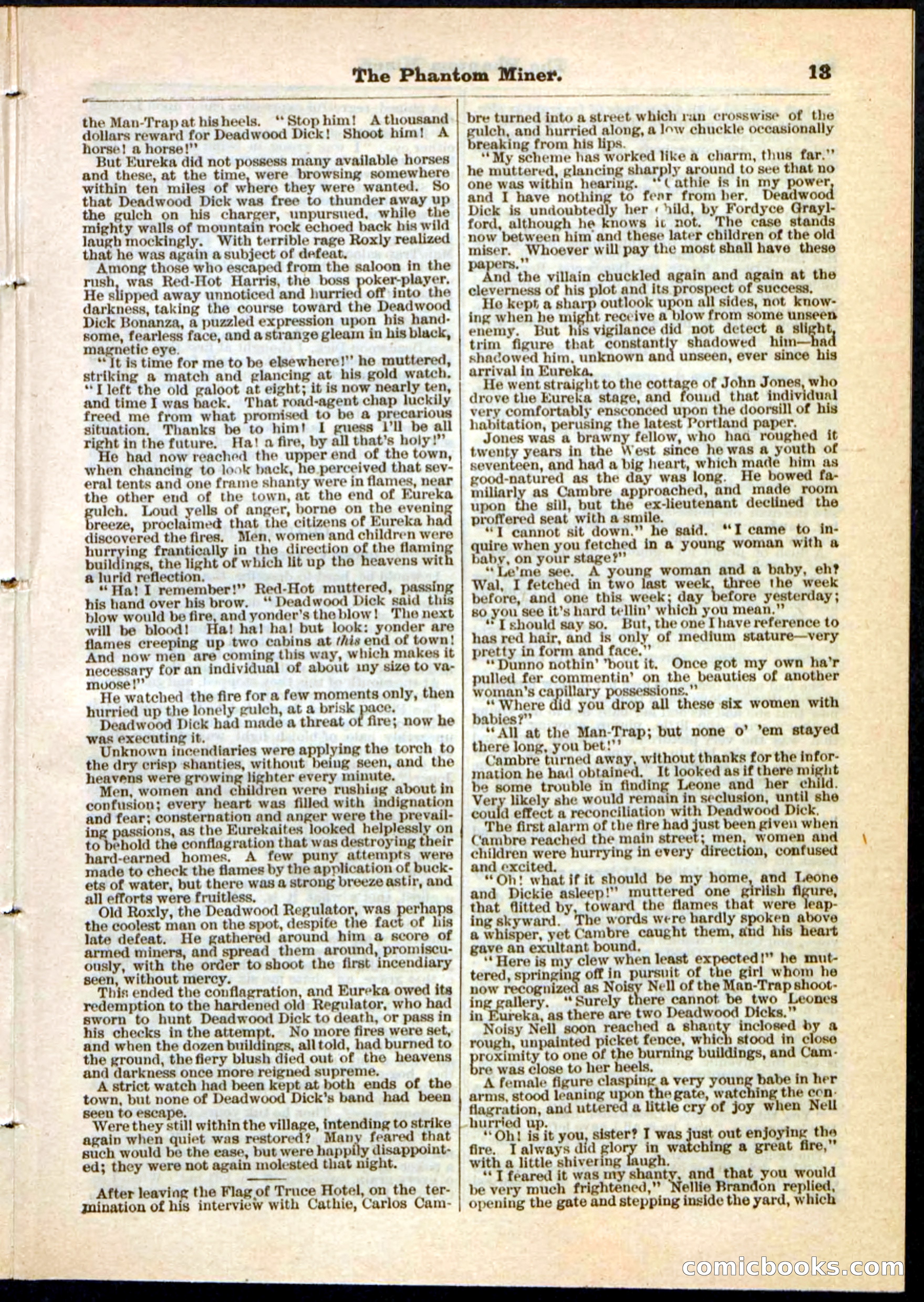 Beadle's Pocket Library No. 22 — page 13 of 32