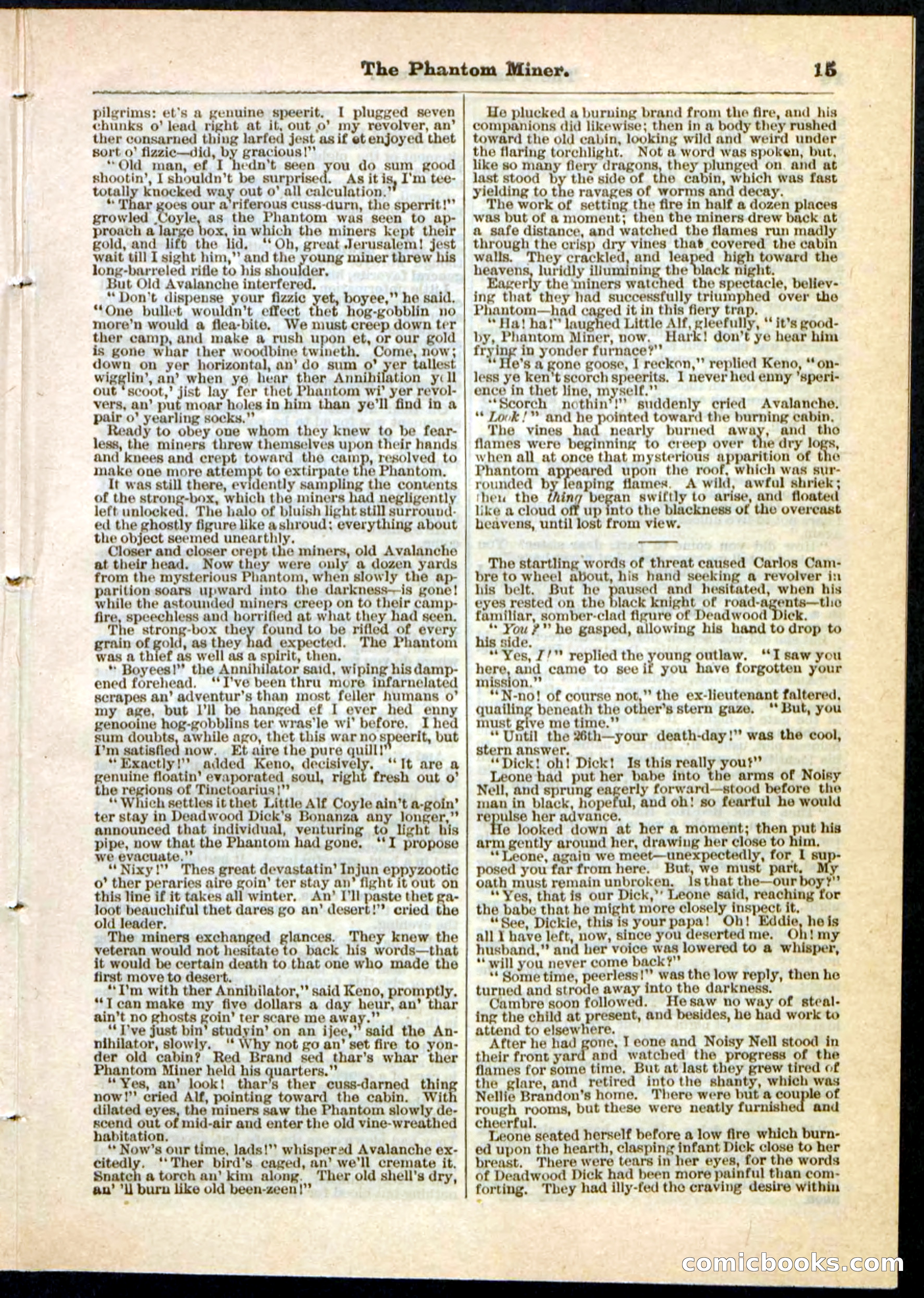 Beadle's Pocket Library No. 22 — page 15 of 32