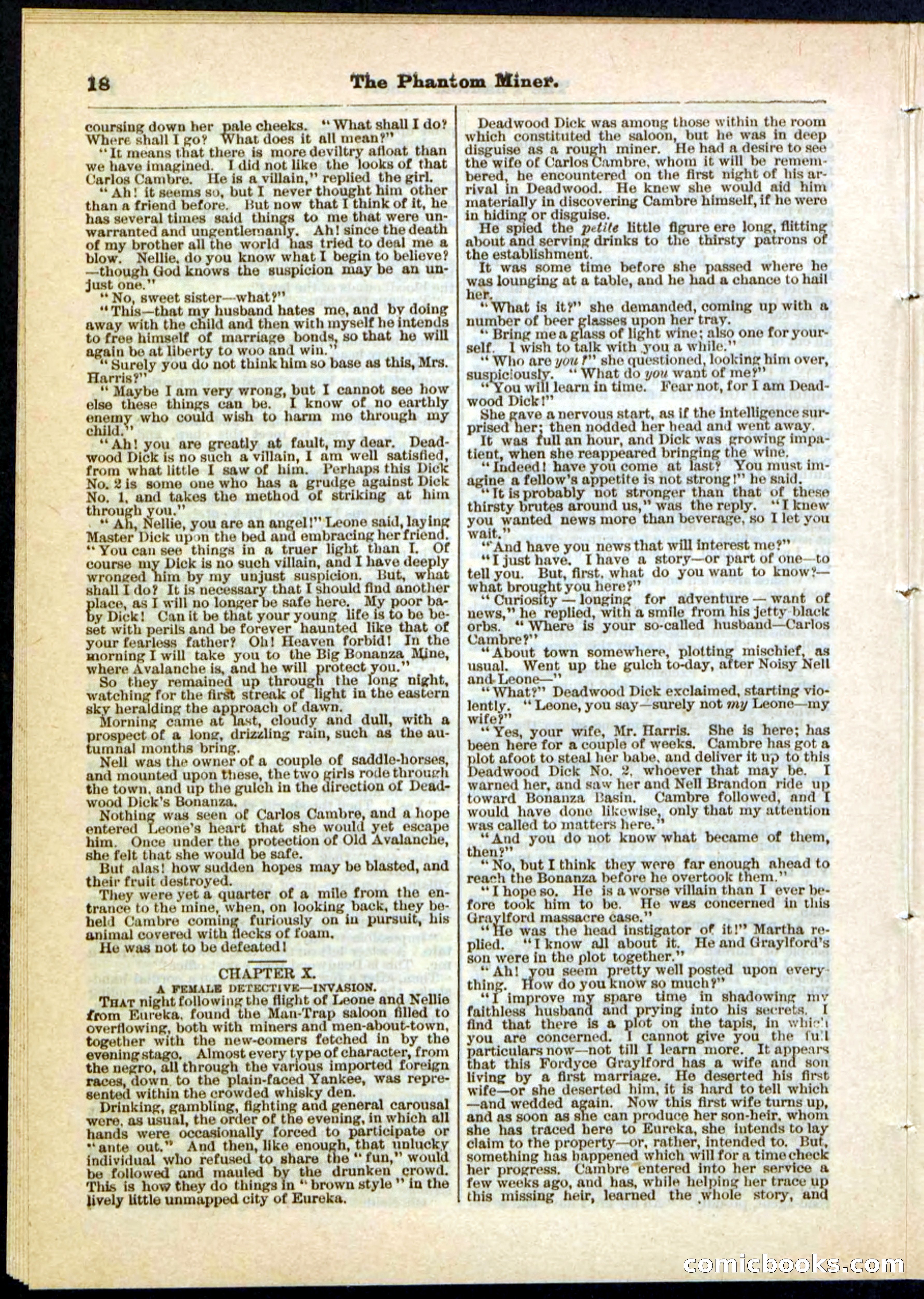 Beadle's Pocket Library No. 22 — page 18 of 32