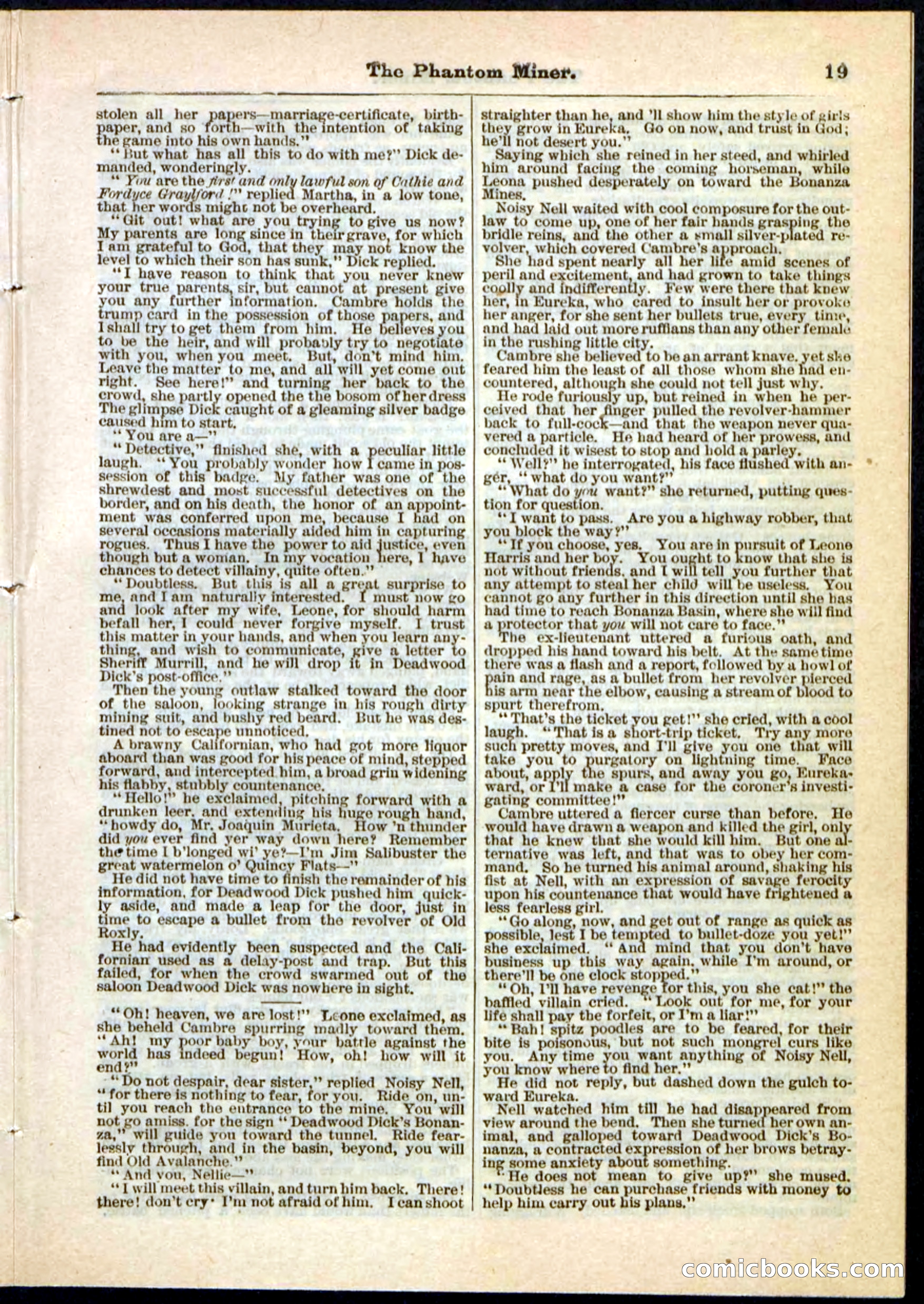 Beadle's Pocket Library No. 22 — page 19 of 32