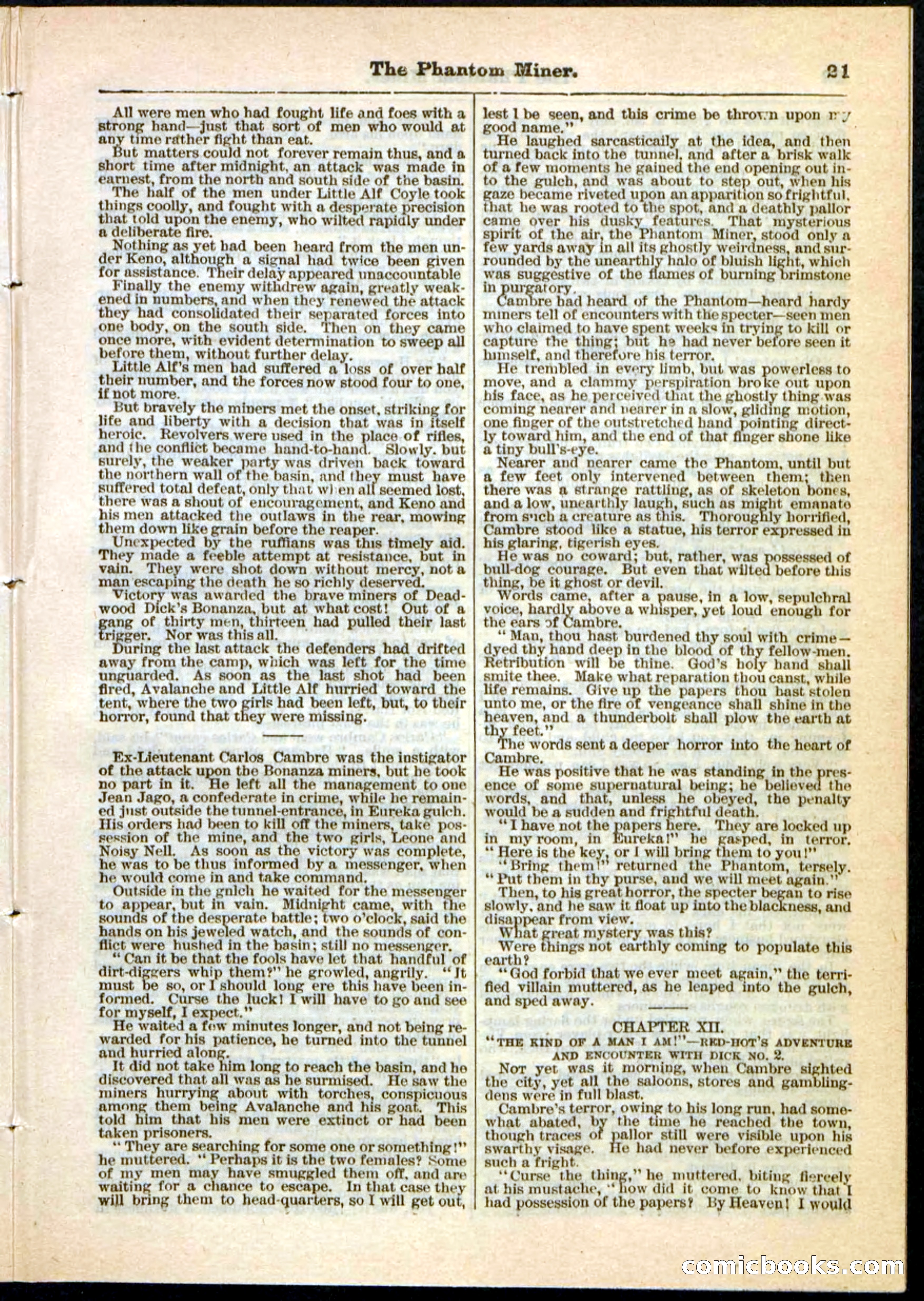 Beadle's Pocket Library No. 22 — page 21 of 32