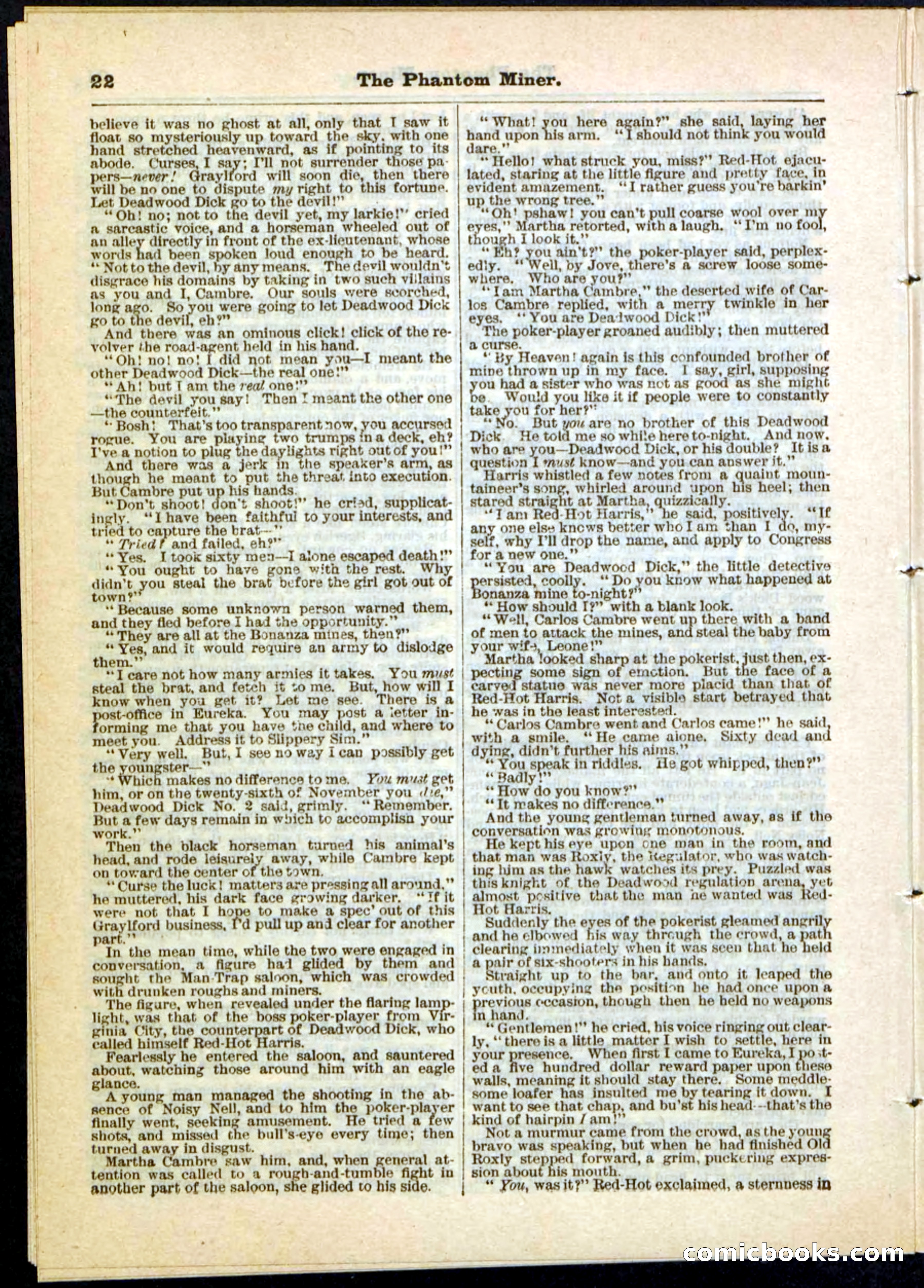 Beadle's Pocket Library No. 22 — page 22 of 32