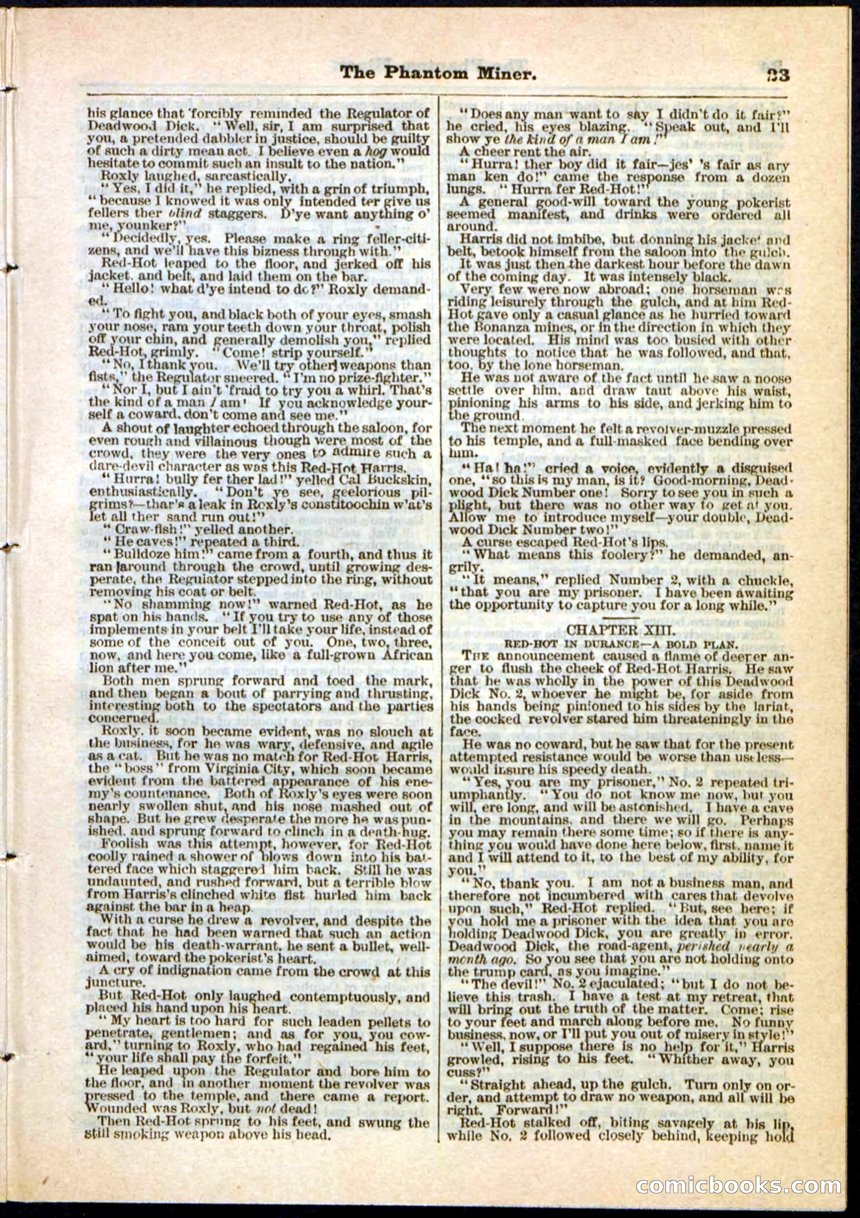 Beadle's Pocket Library No. 22 — page 23 of 32