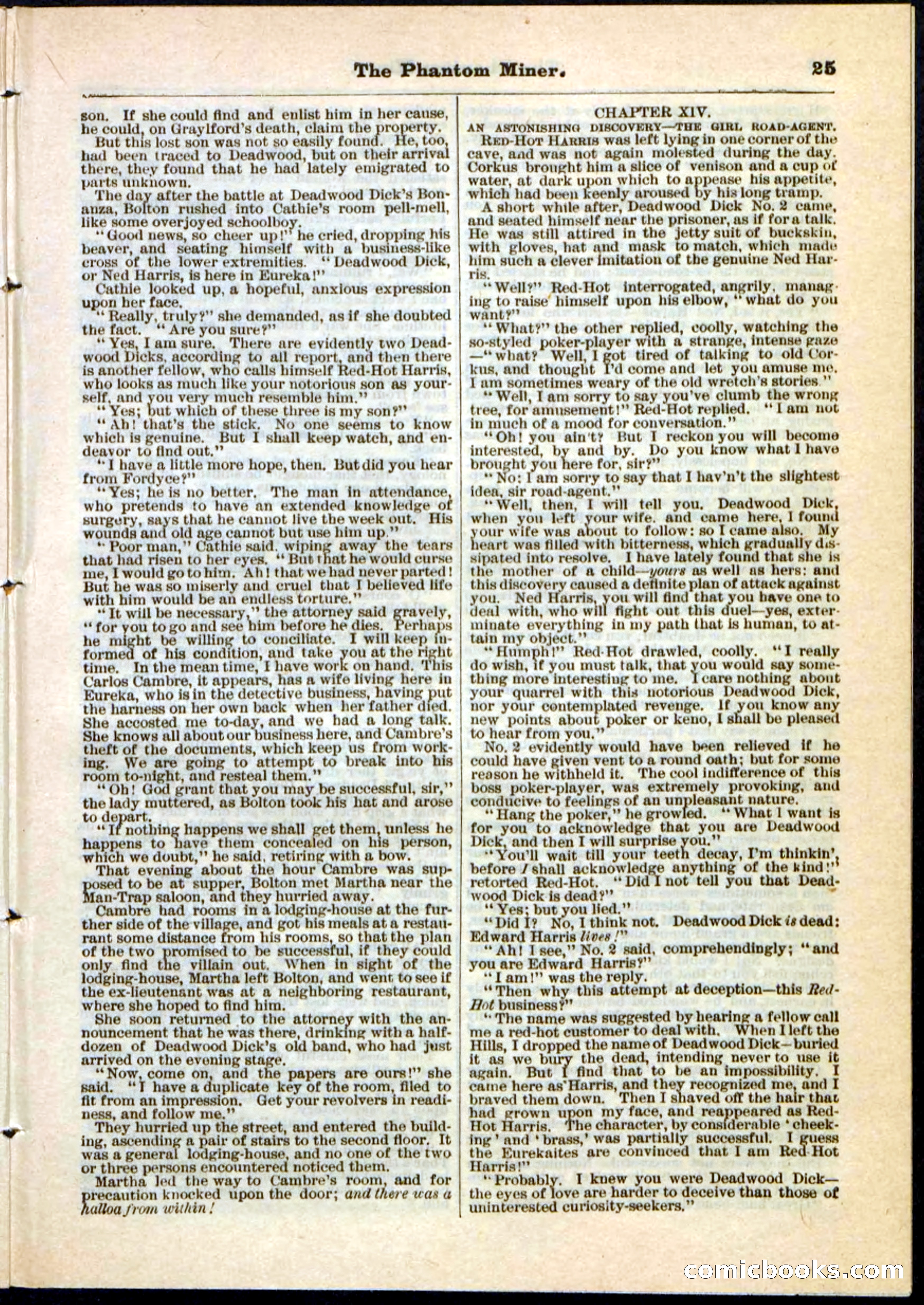 Beadle's Pocket Library No. 22 — page 25 of 32