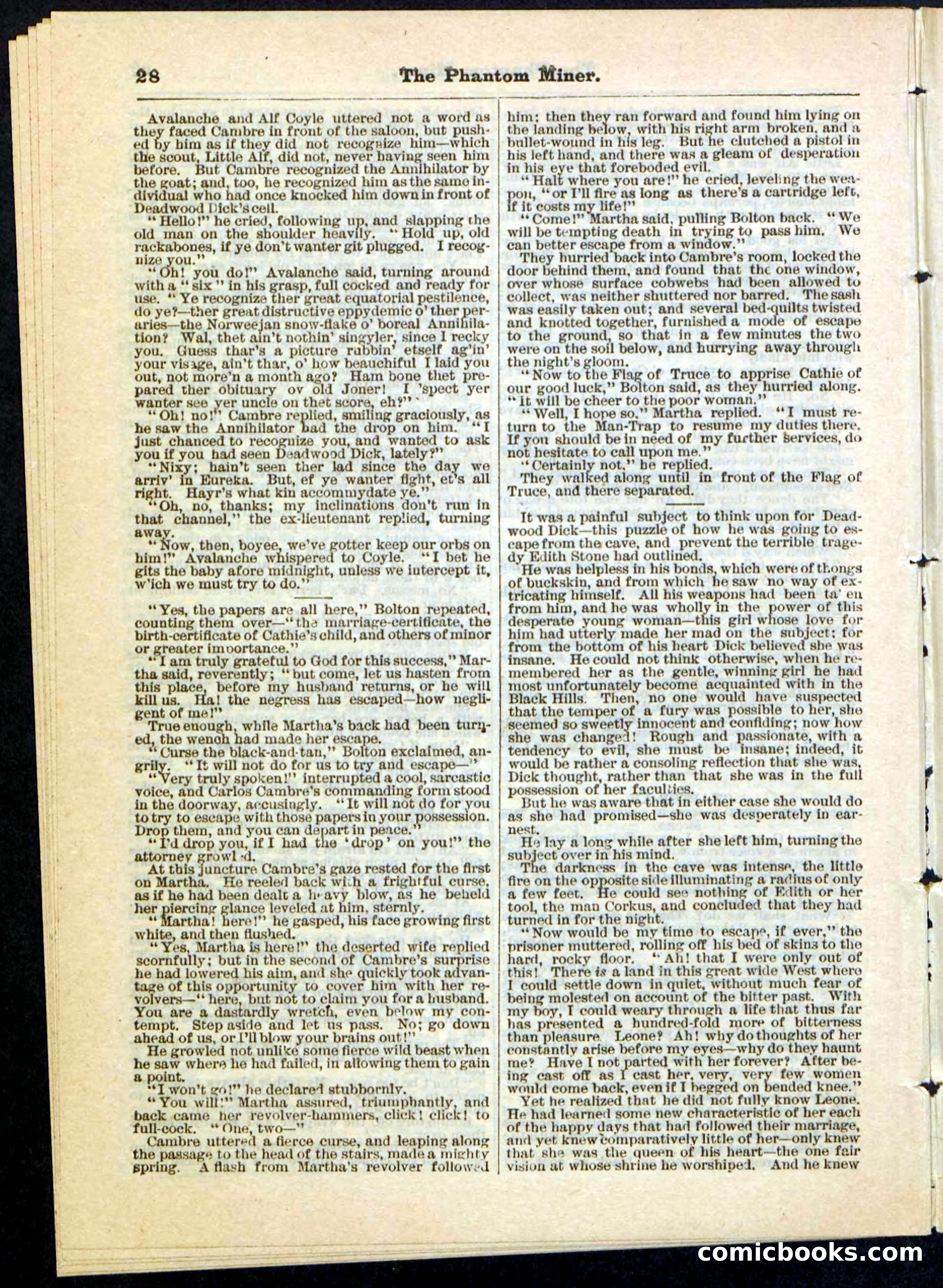 Beadle's Pocket Library No. 22 — page 28 of 32