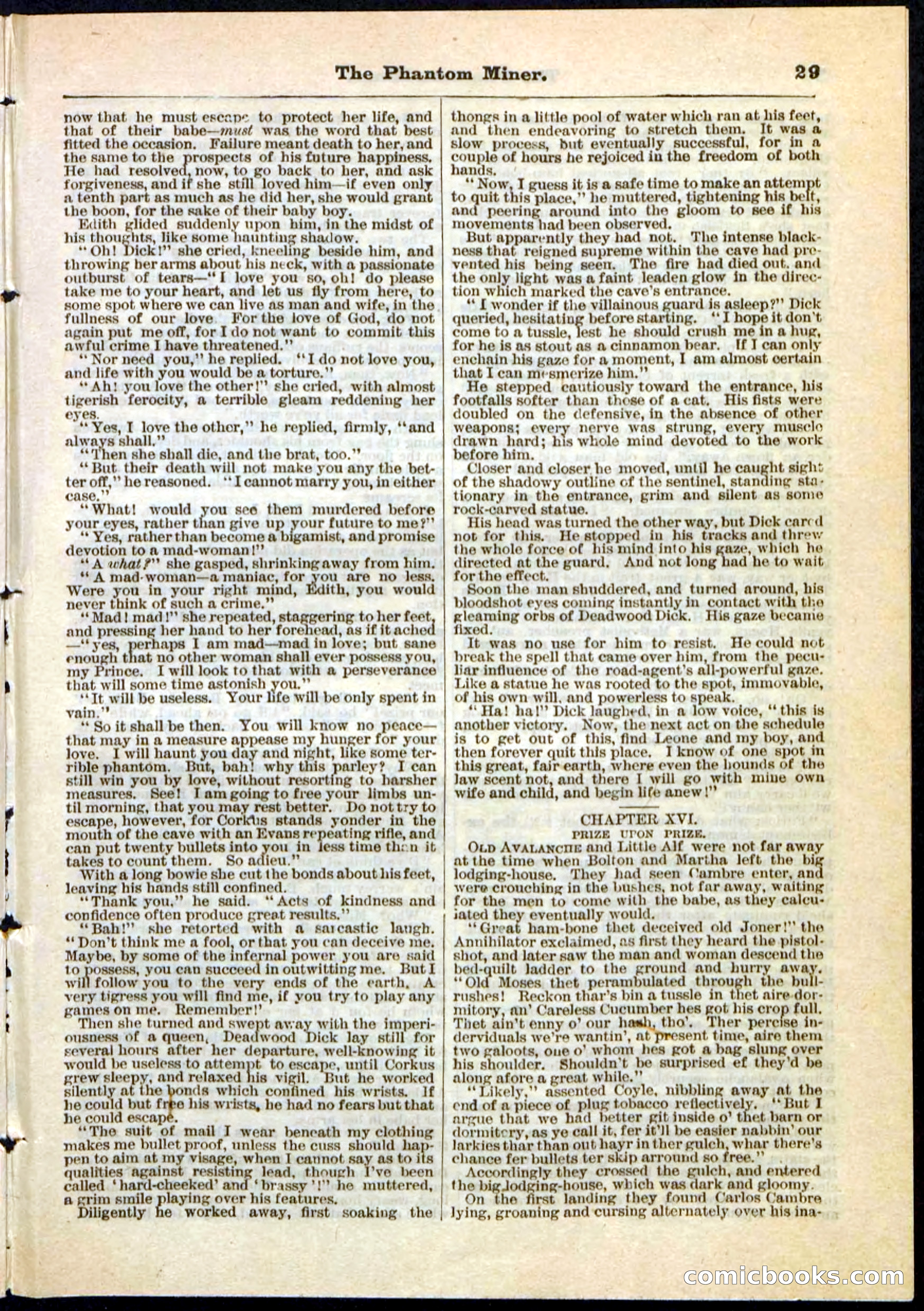 Beadle's Pocket Library No. 22 — page 29 of 32