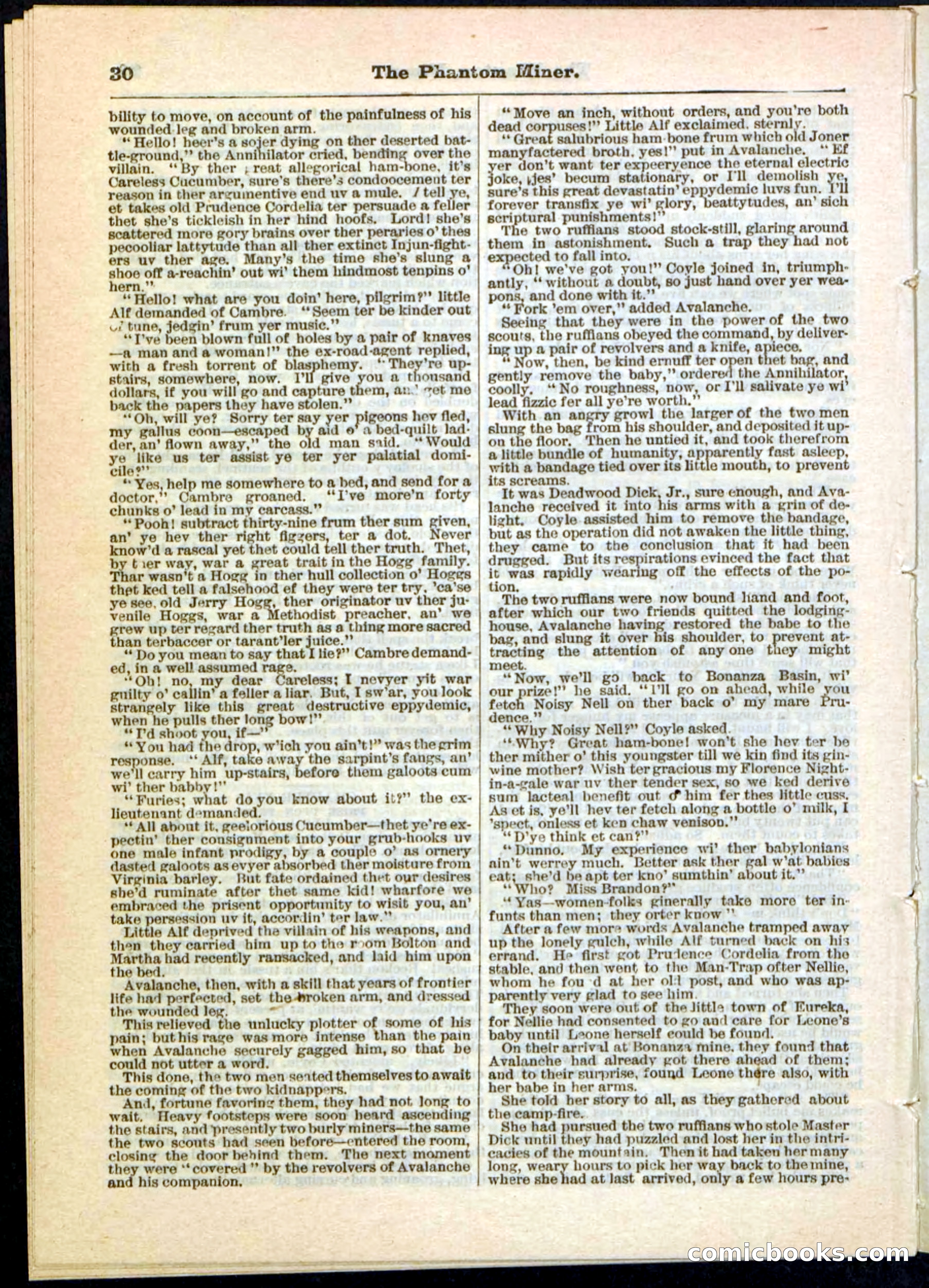 Beadle's Pocket Library No. 22 — page 30 of 32