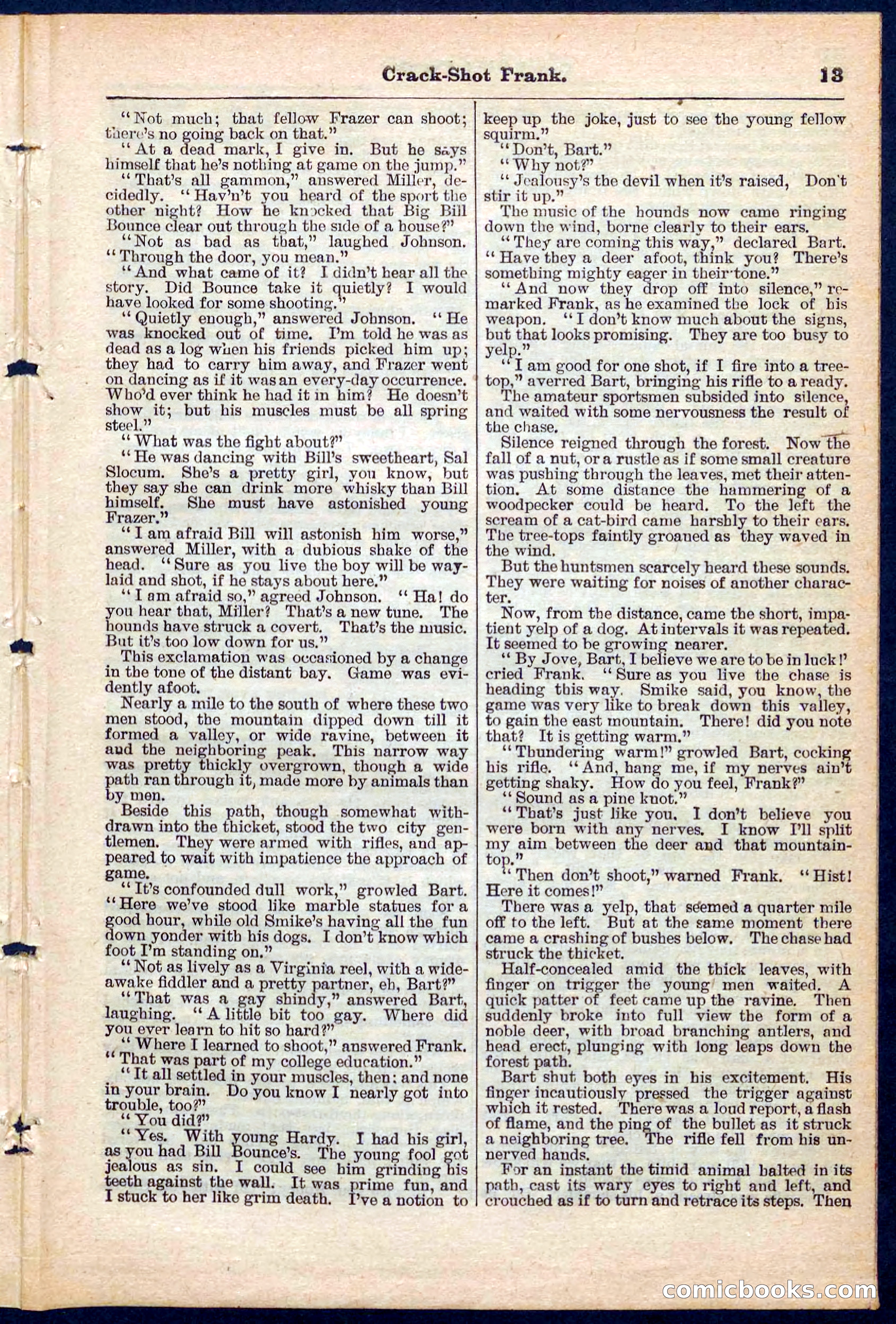 Beadle's Pocket Library No. 220 — page 13 of 32
