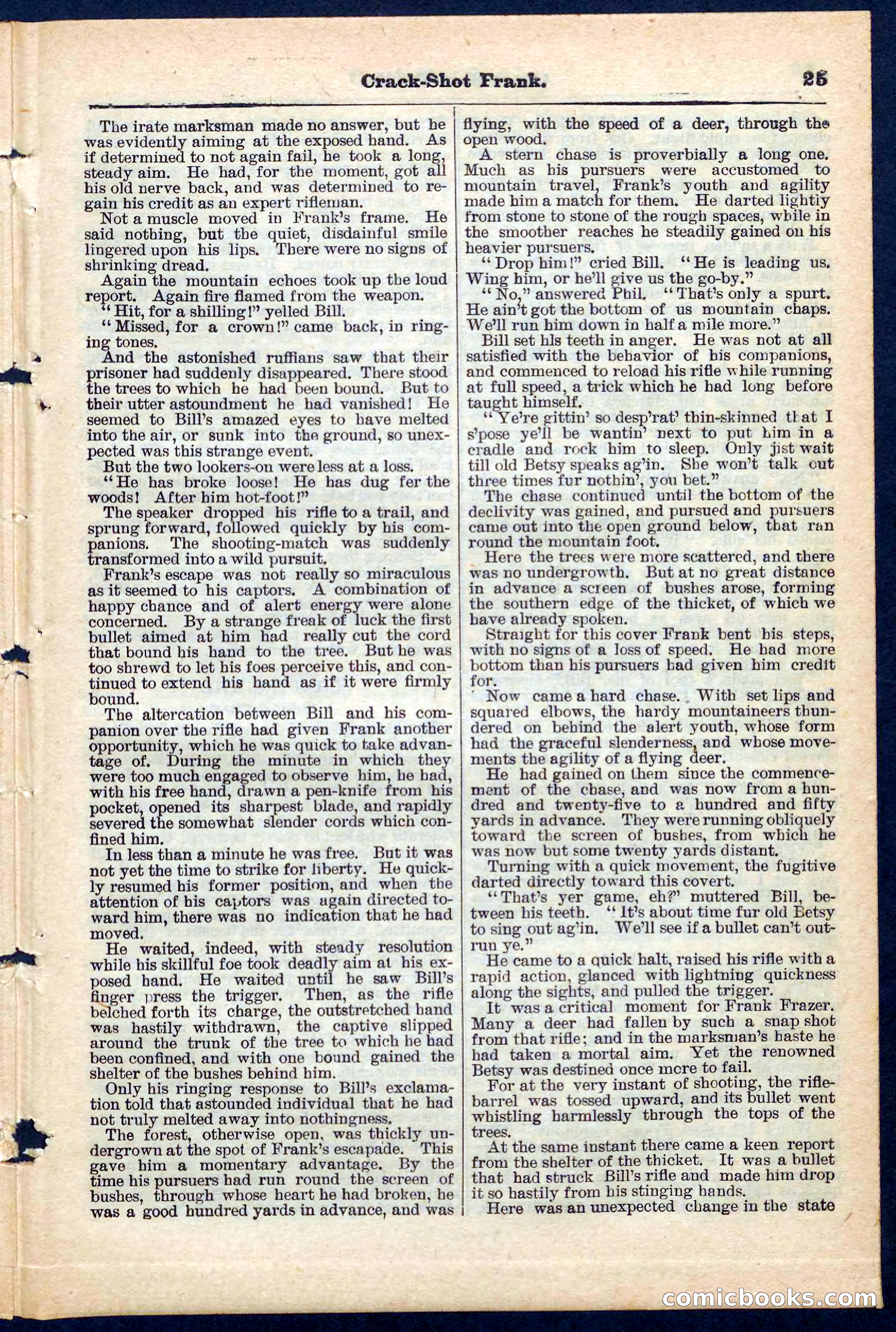 Beadle's Pocket Library No. 220 — page 25 of 32