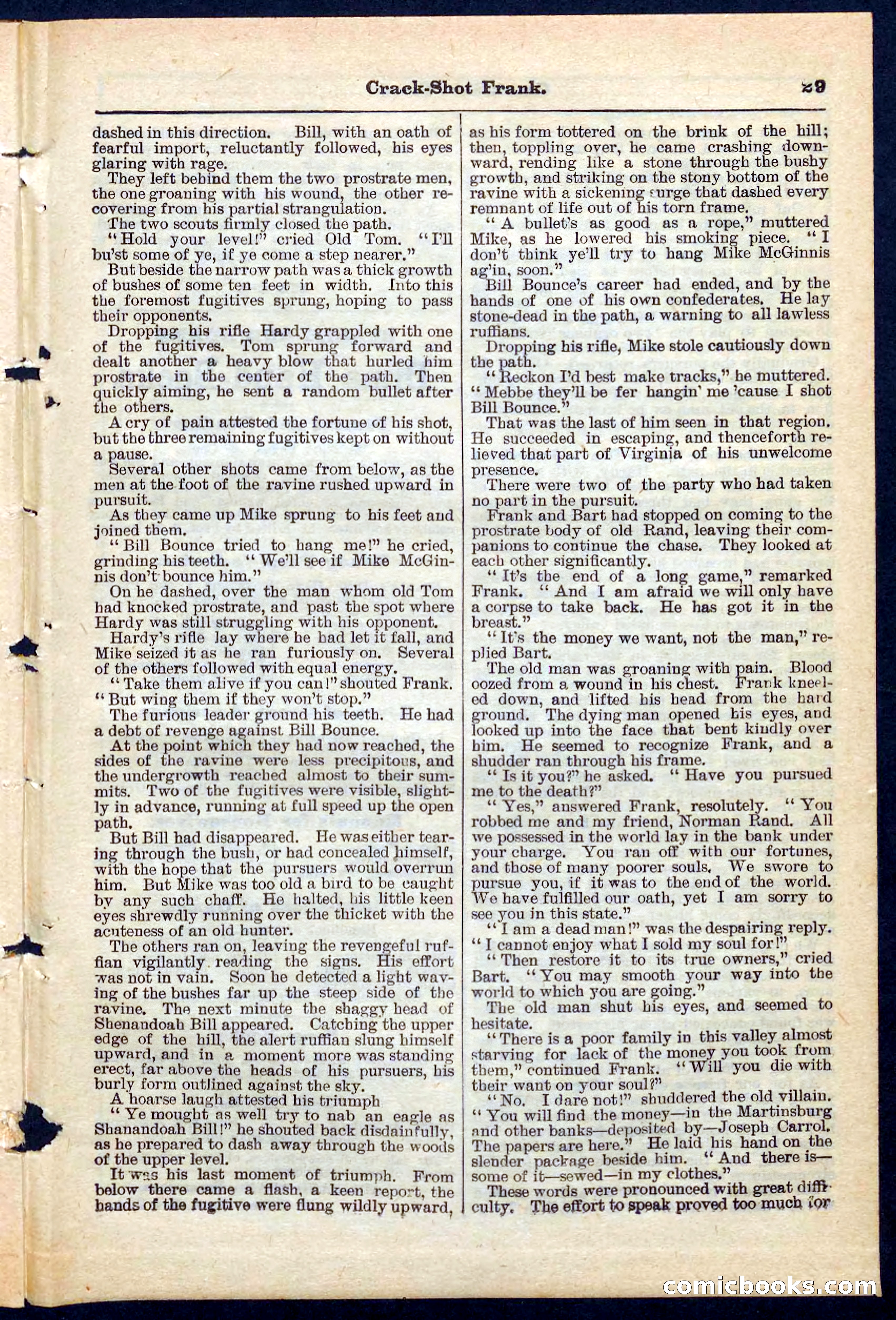 Beadle's Pocket Library No. 220 — page 29 of 32