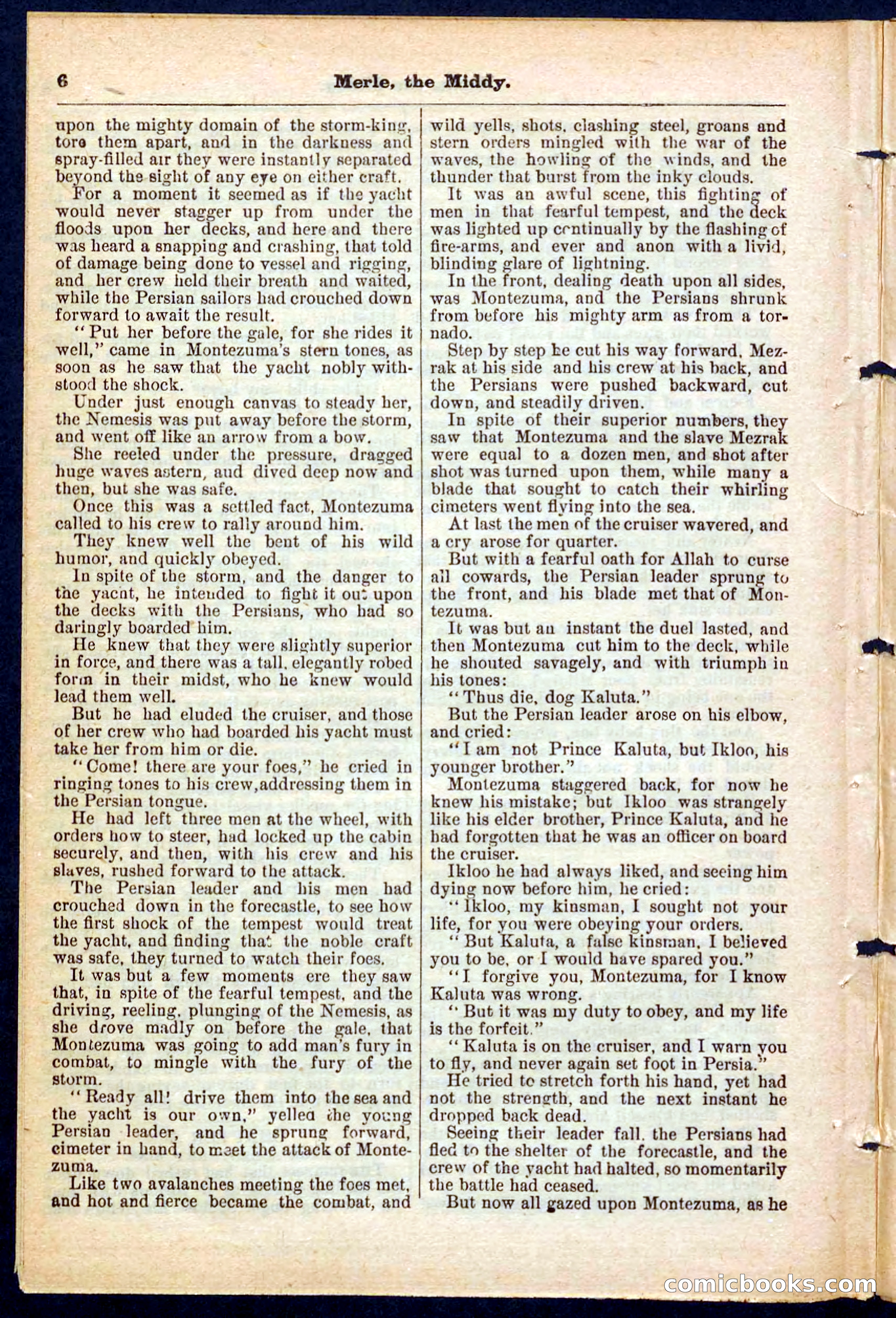 Beadle's Pocket Library No. 221 — page 6 of 32