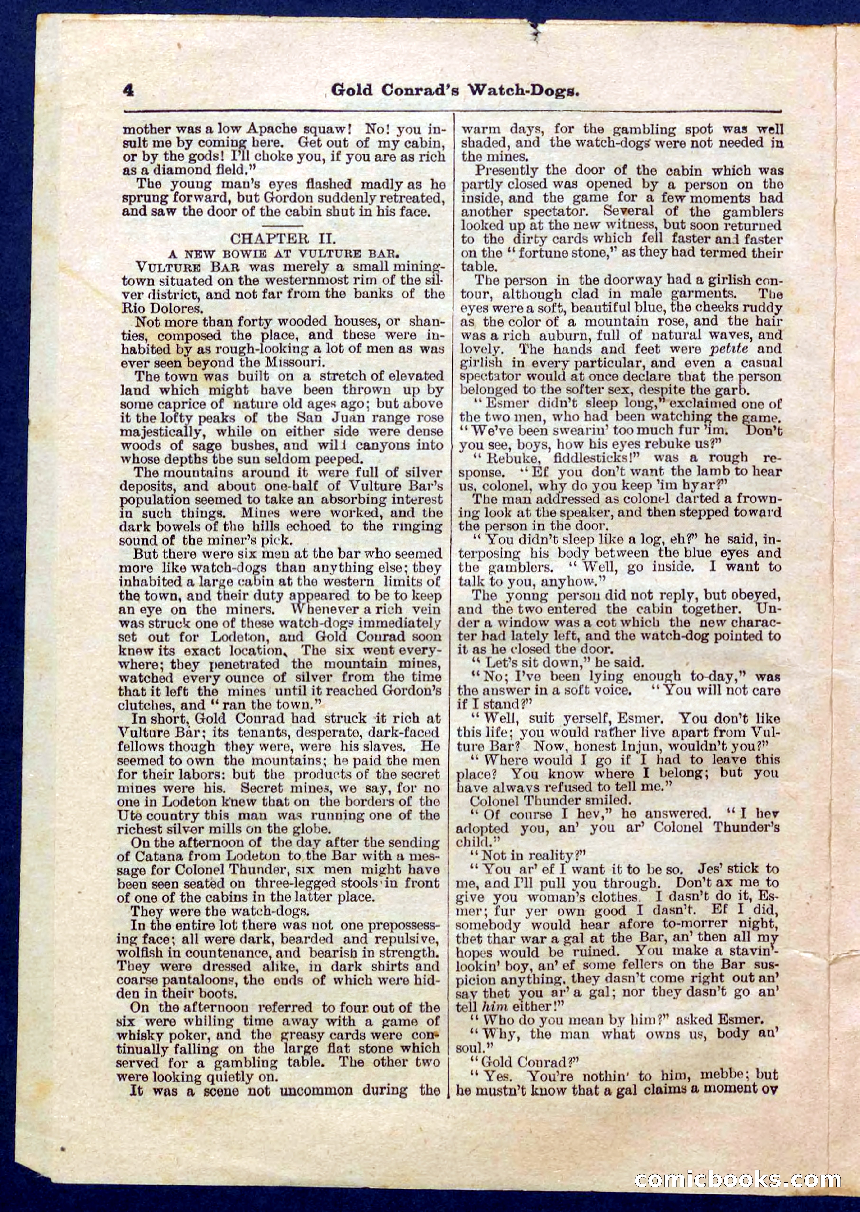 Beadle's Pocket Library No. 223 — page 4 of 32