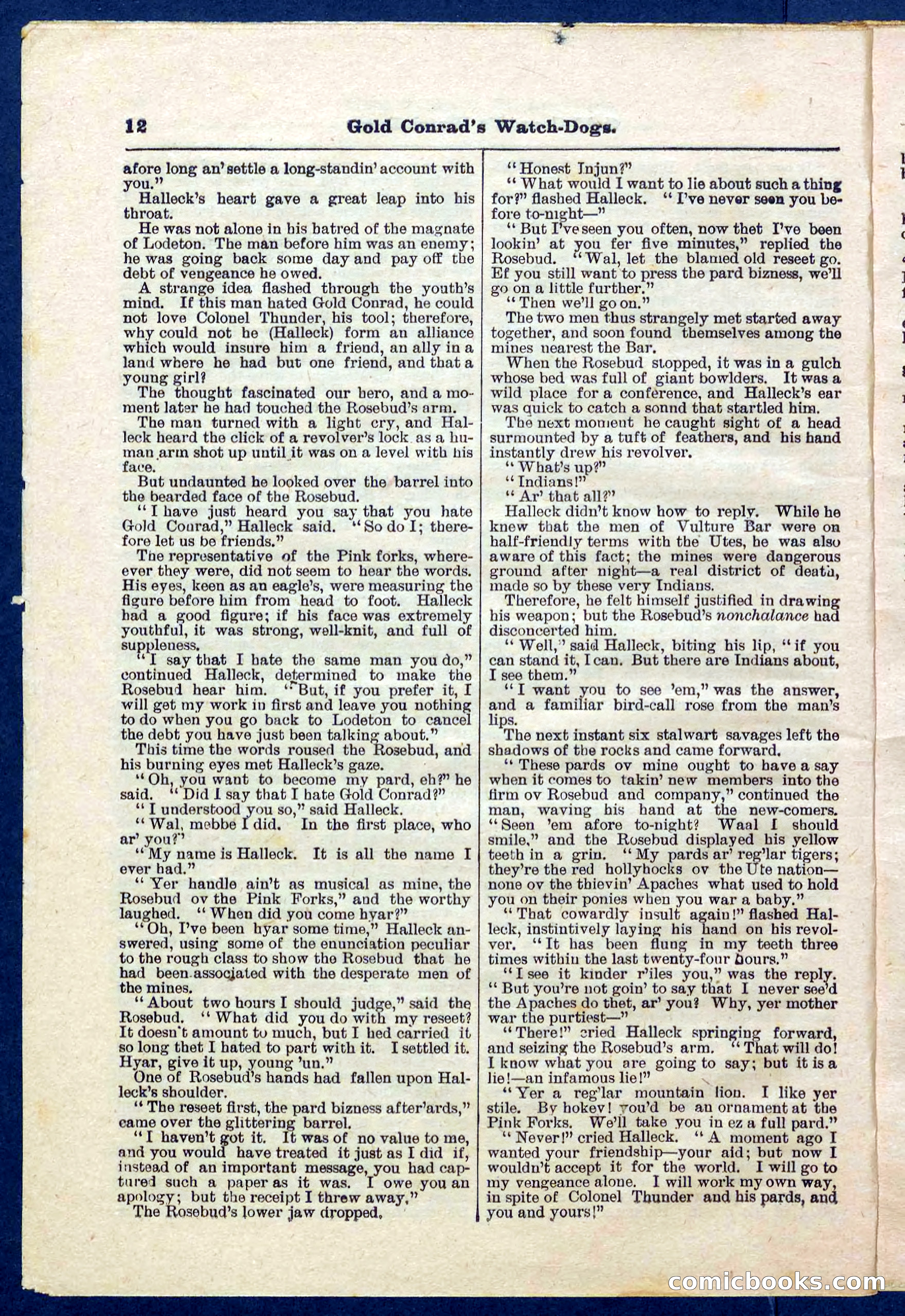 Beadle's Pocket Library No. 223 — page 12 of 32
