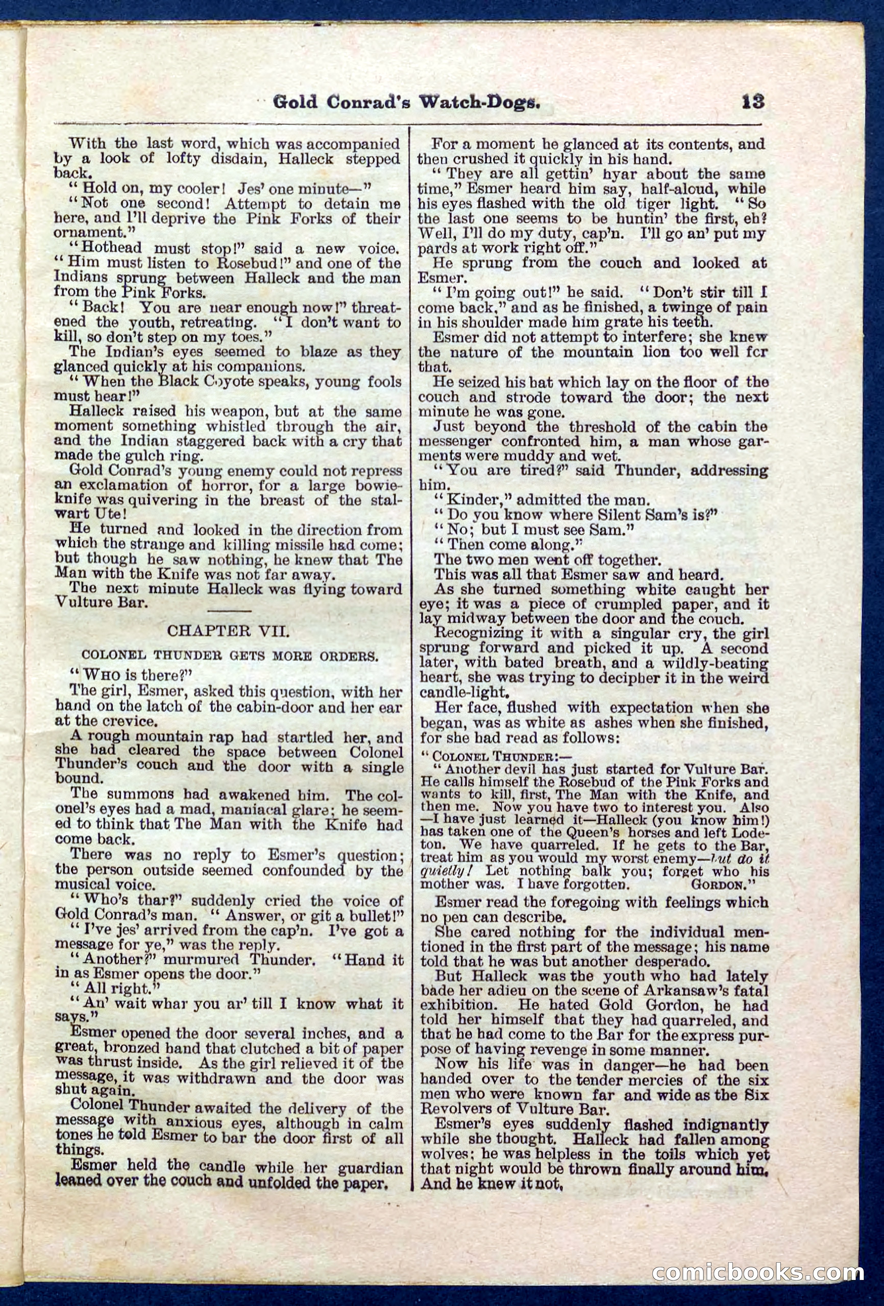 Beadle's Pocket Library No. 223 — page 13 of 32