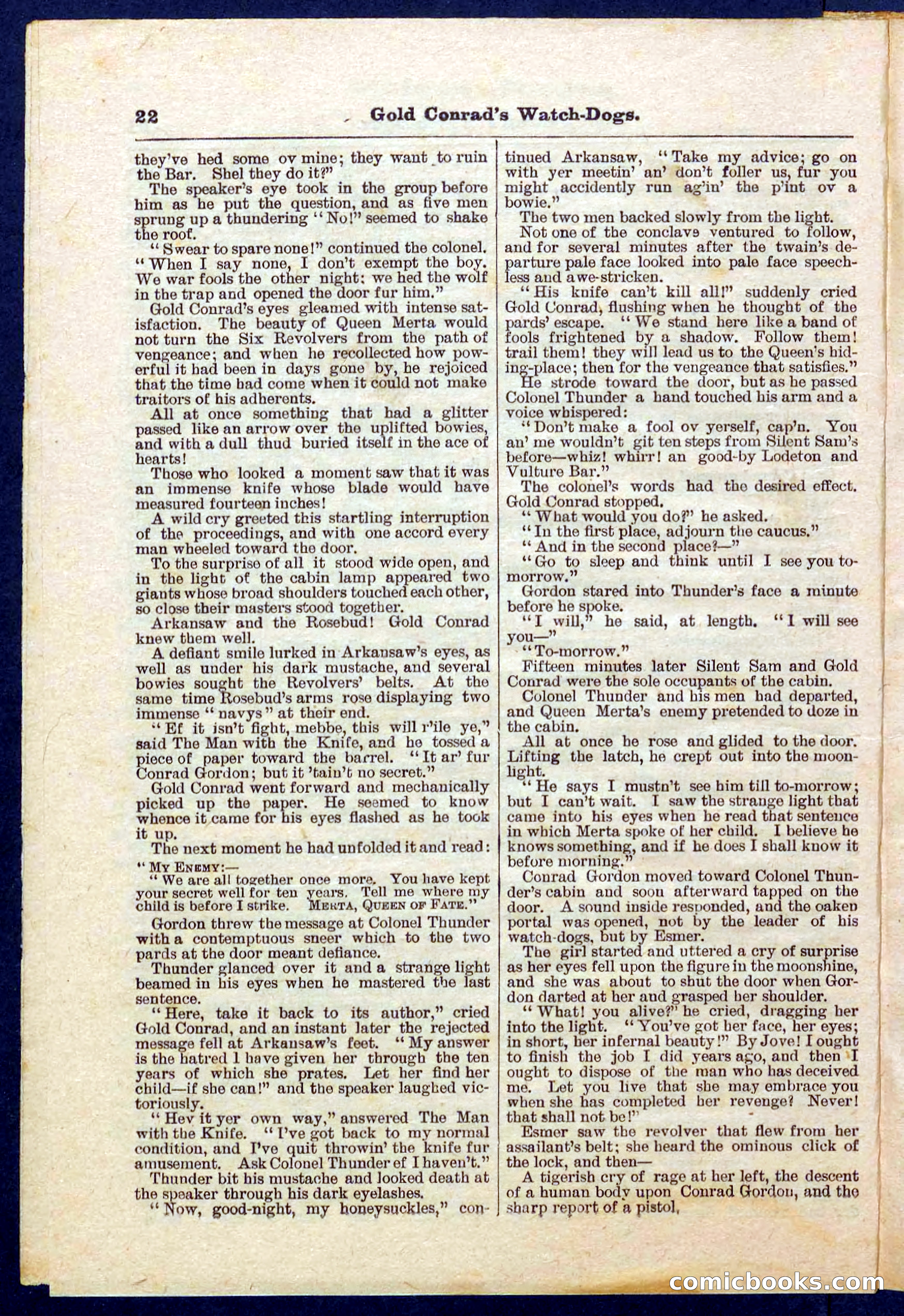 Beadle's Pocket Library No. 223 — page 22 of 32