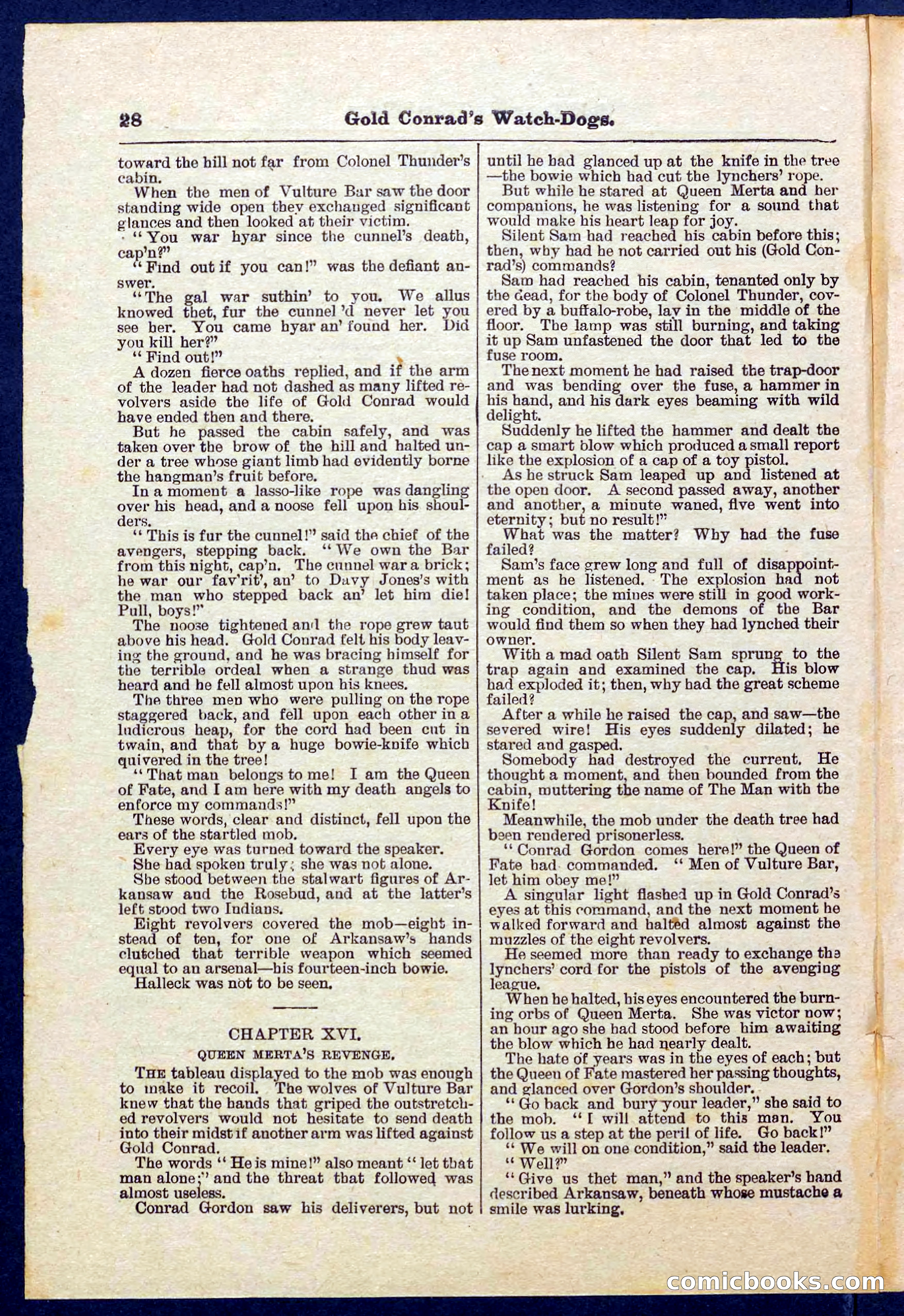 Beadle's Pocket Library No. 223 — page 28 of 32