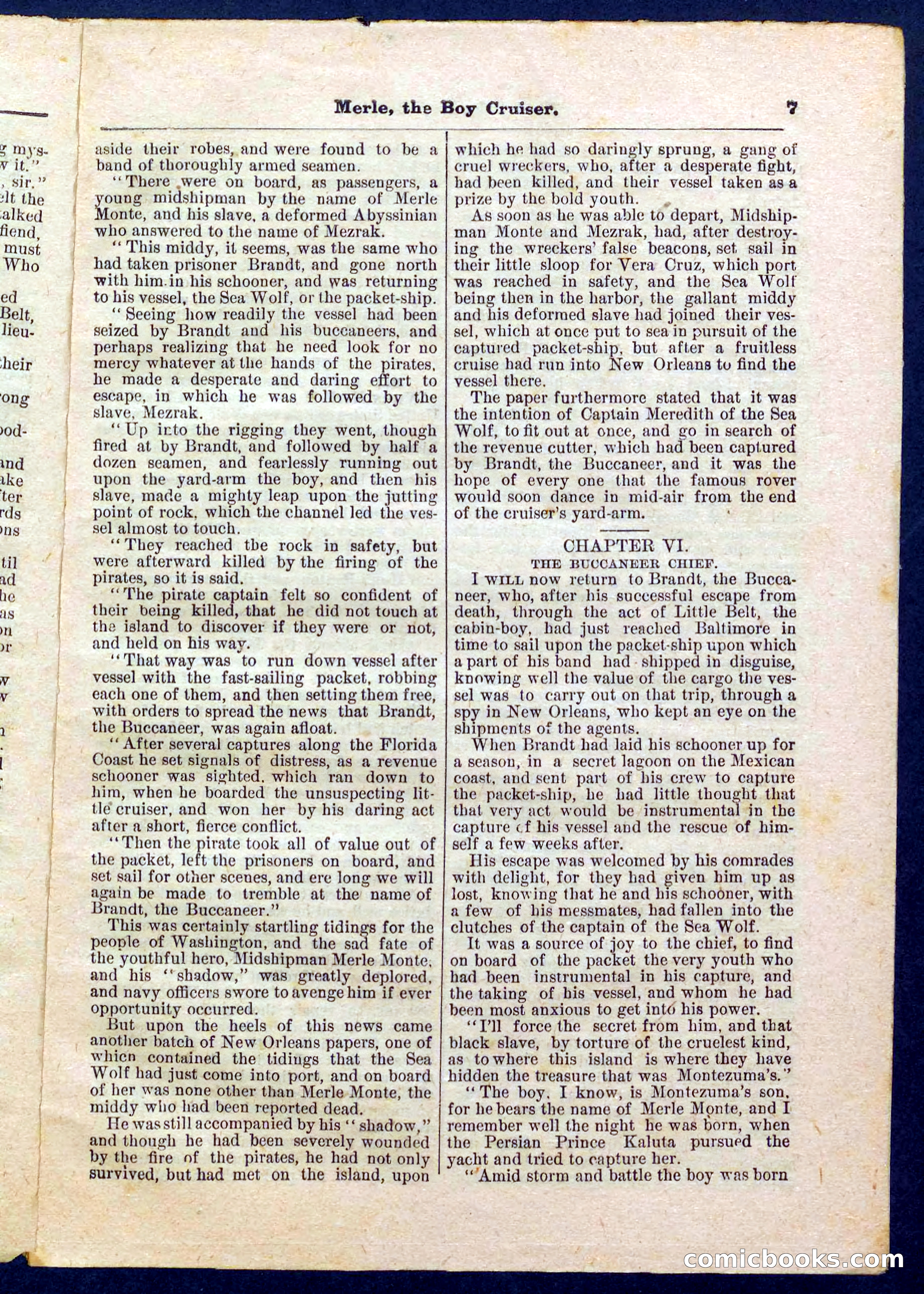 Beadle's Pocket Library No. 227 — page 7 of 32