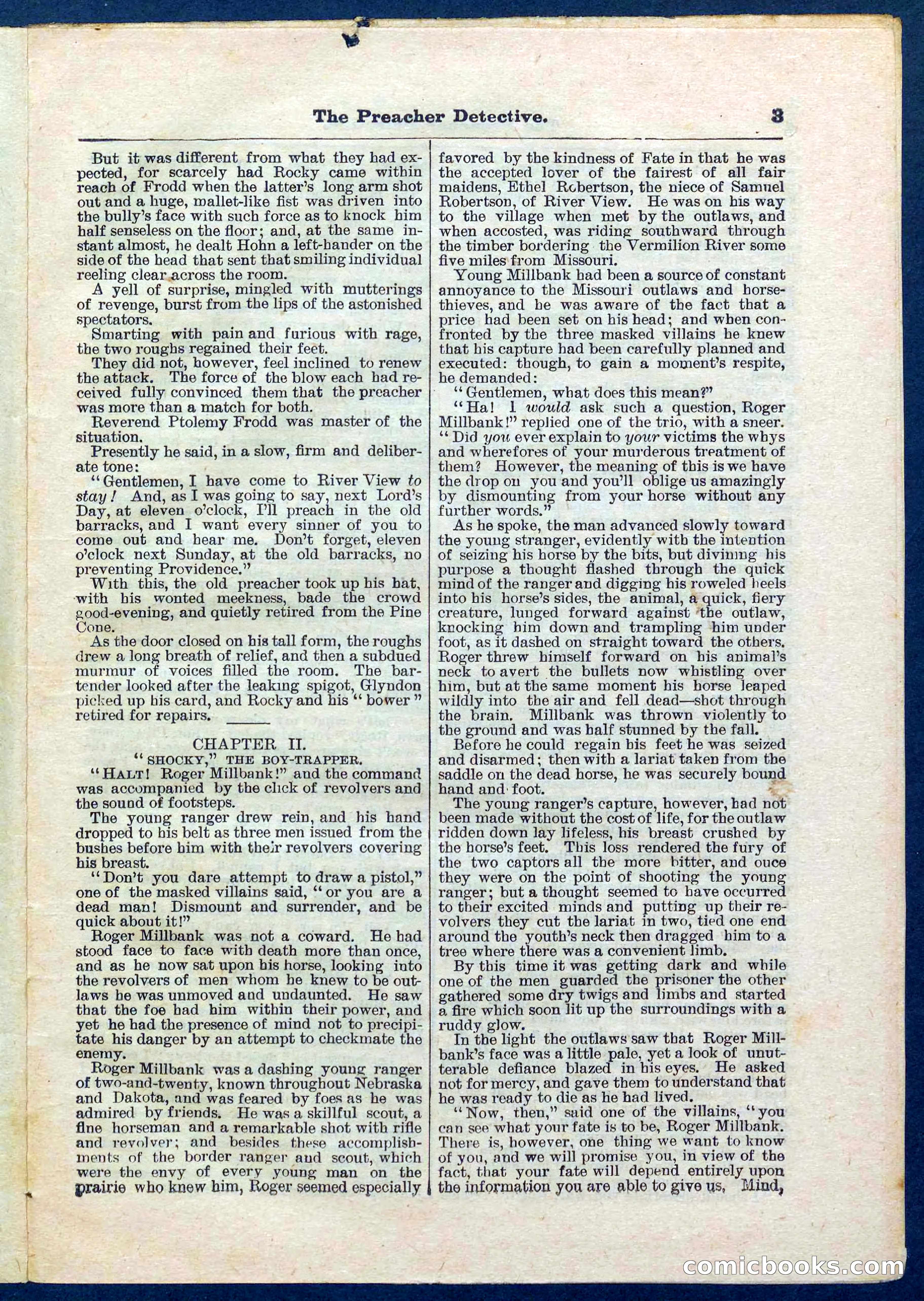 Beadle's Pocket Library No. 228 — page 3 of 32