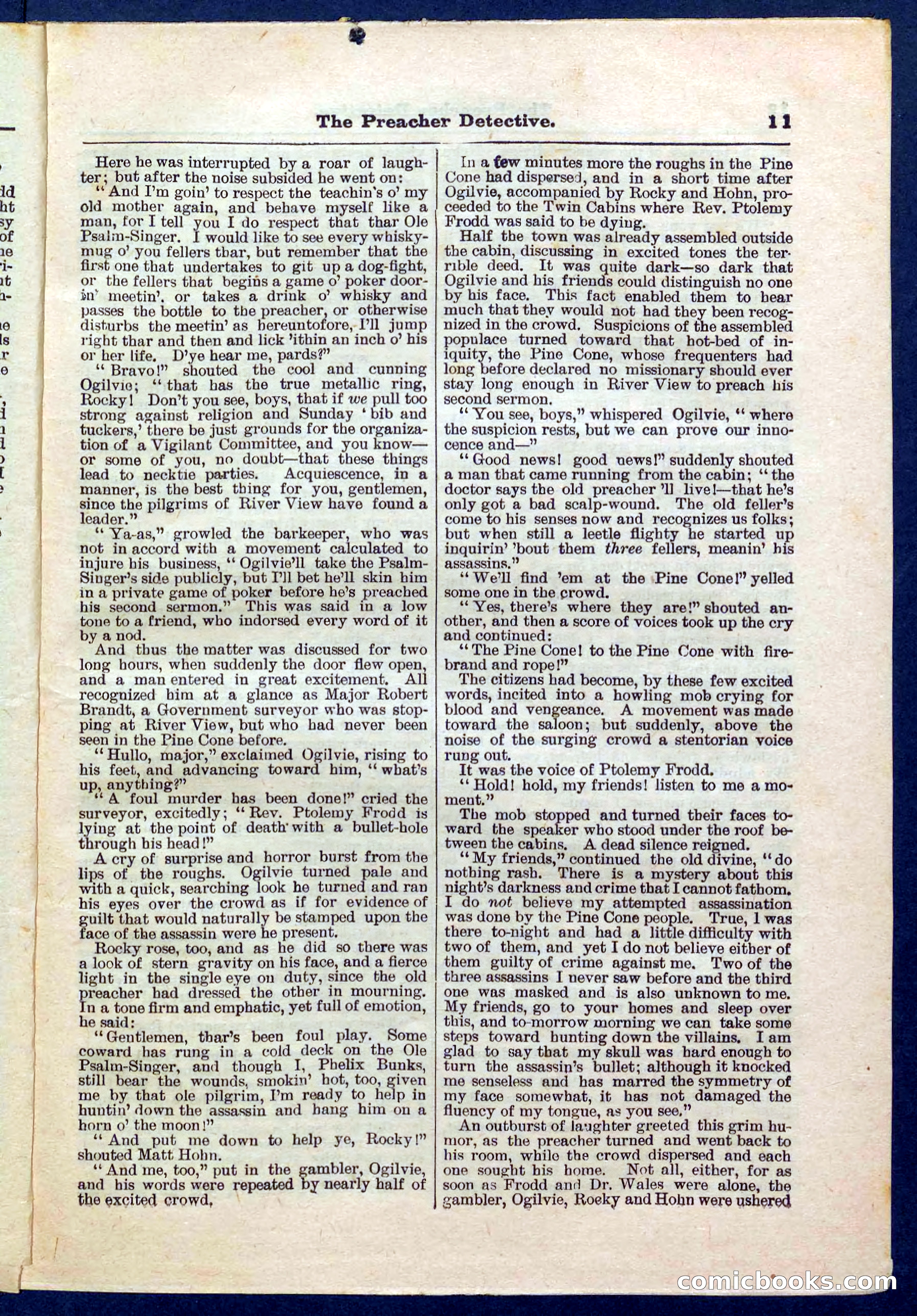 Beadle's Pocket Library No. 228 — page 11 of 32
