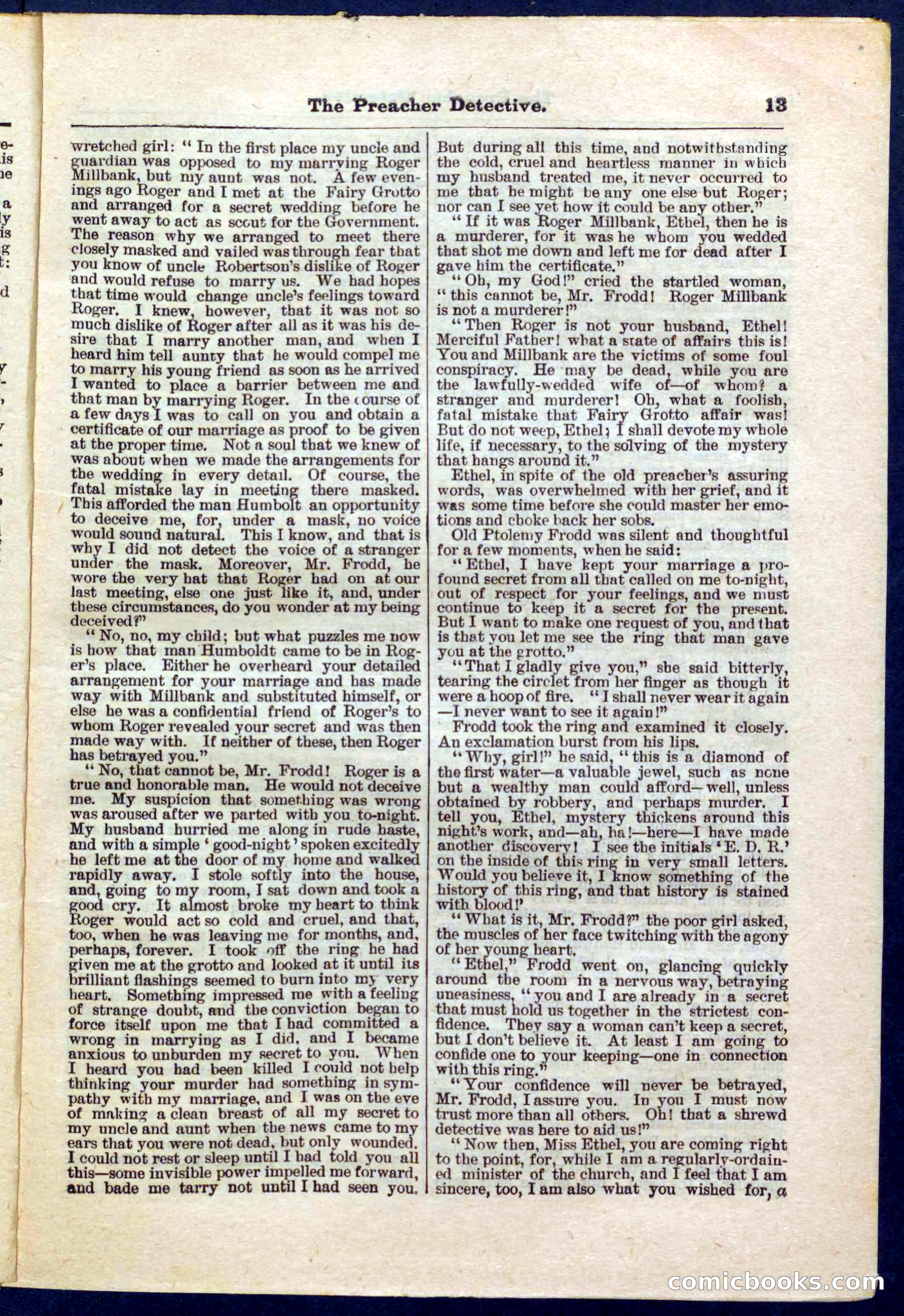 Beadle's Pocket Library No. 228 — page 13 of 32