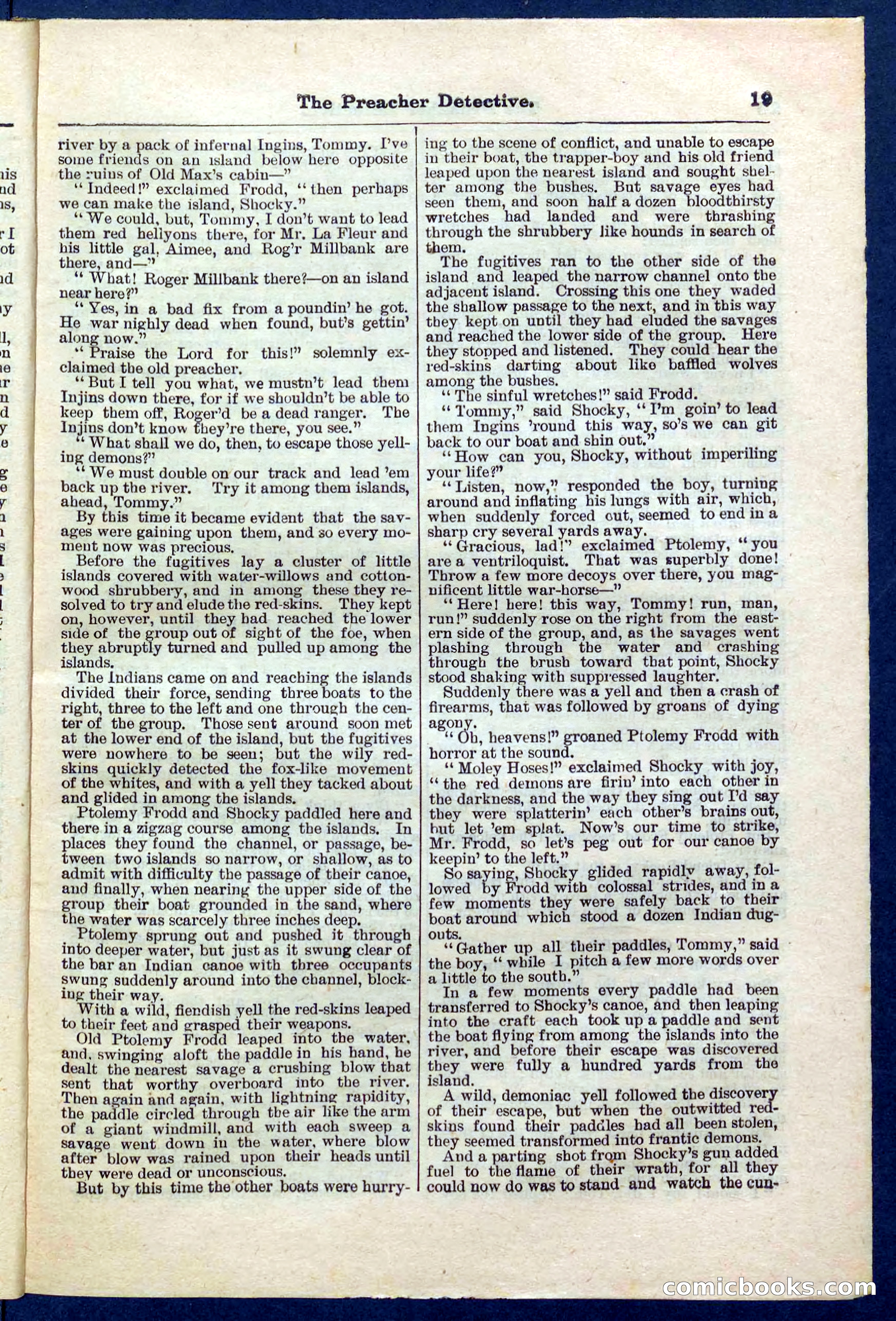 Beadle's Pocket Library No. 228 — page 19 of 32