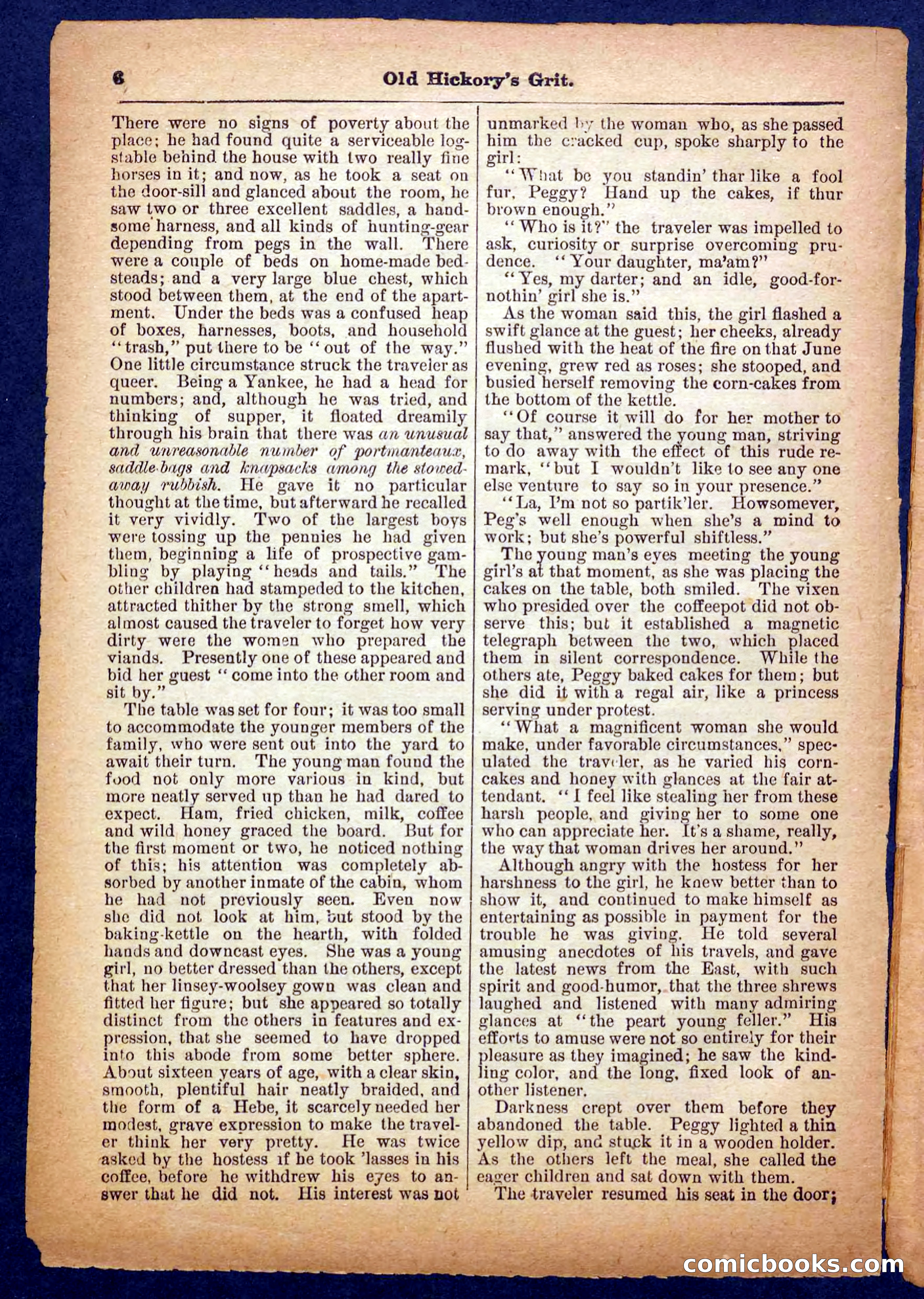 Beadle's Pocket Library No. 229 — page 6 of 32