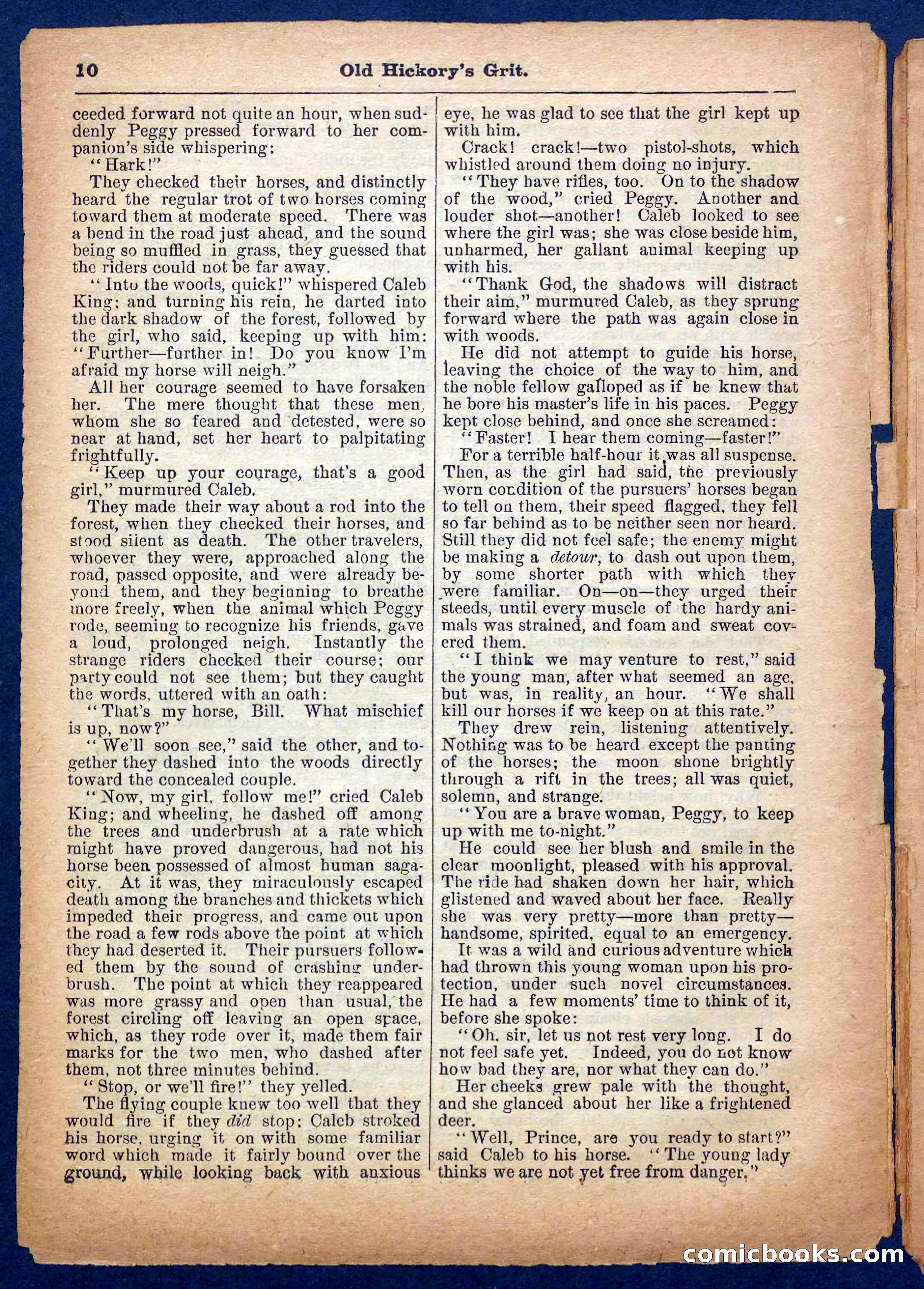 Beadle's Pocket Library No. 229 — page 10 of 32