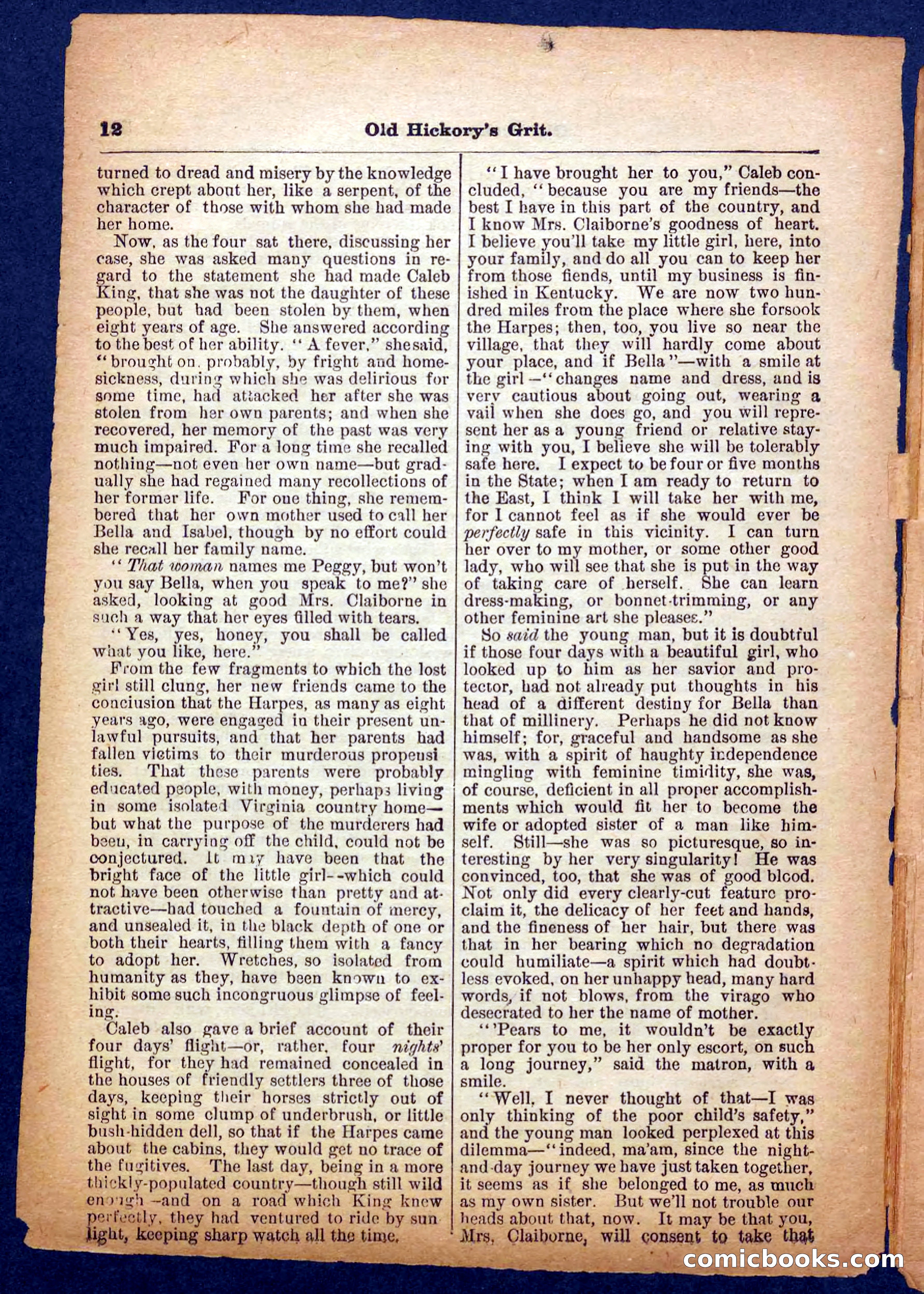 Beadle's Pocket Library No. 229 — page 12 of 32