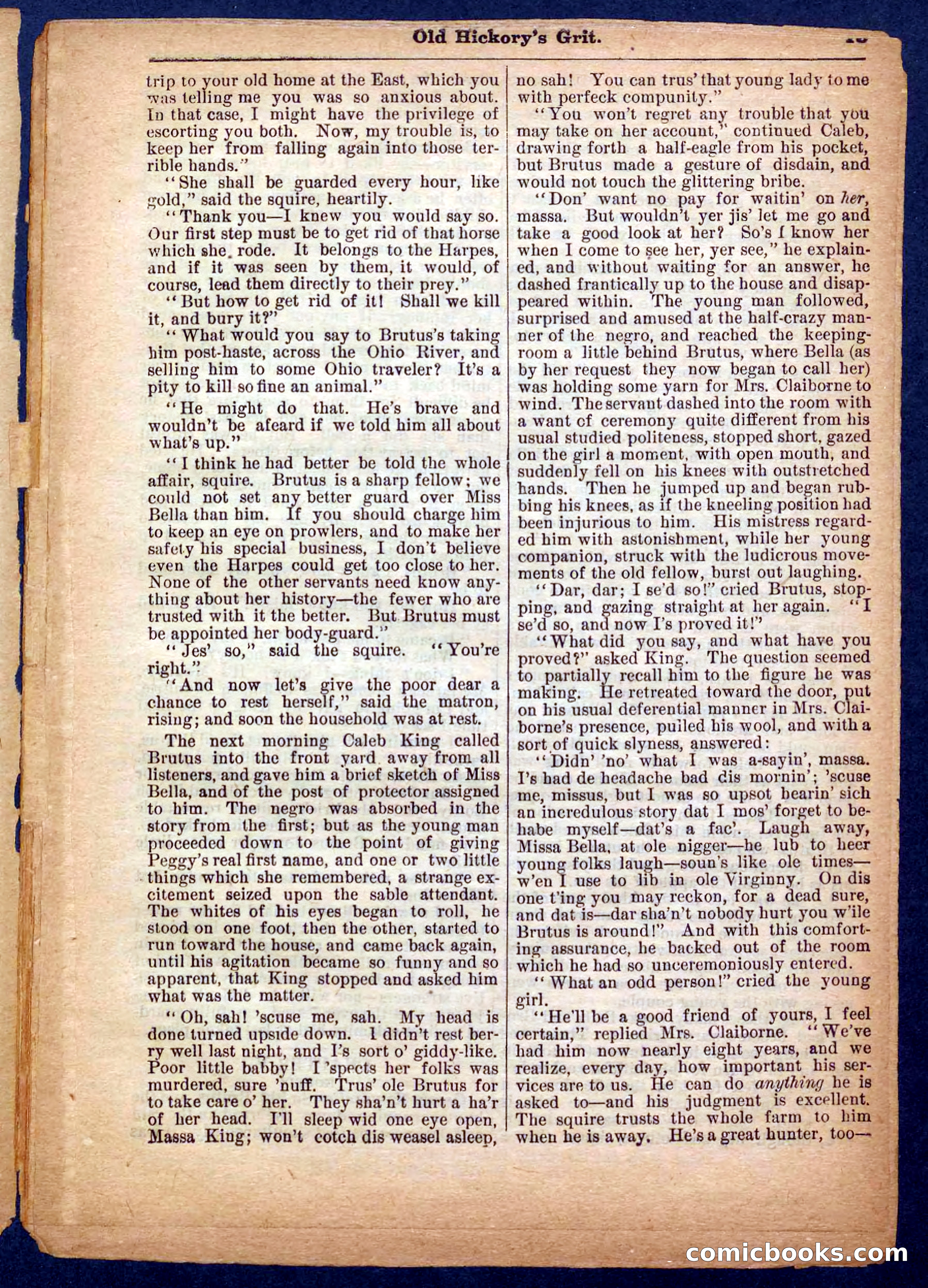 Beadle's Pocket Library No. 229 — page 13 of 32