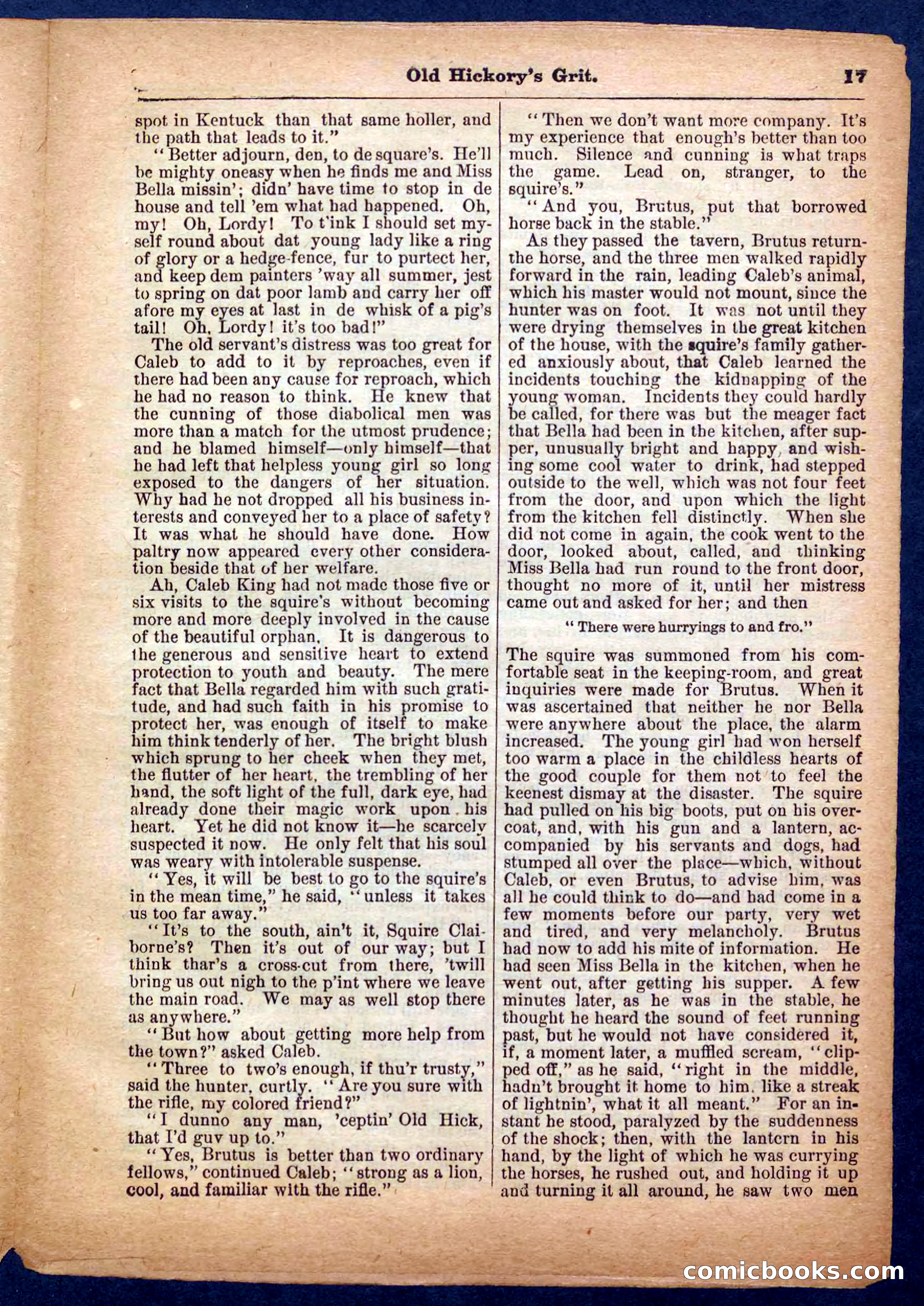 Beadle's Pocket Library No. 229 — page 17 of 32