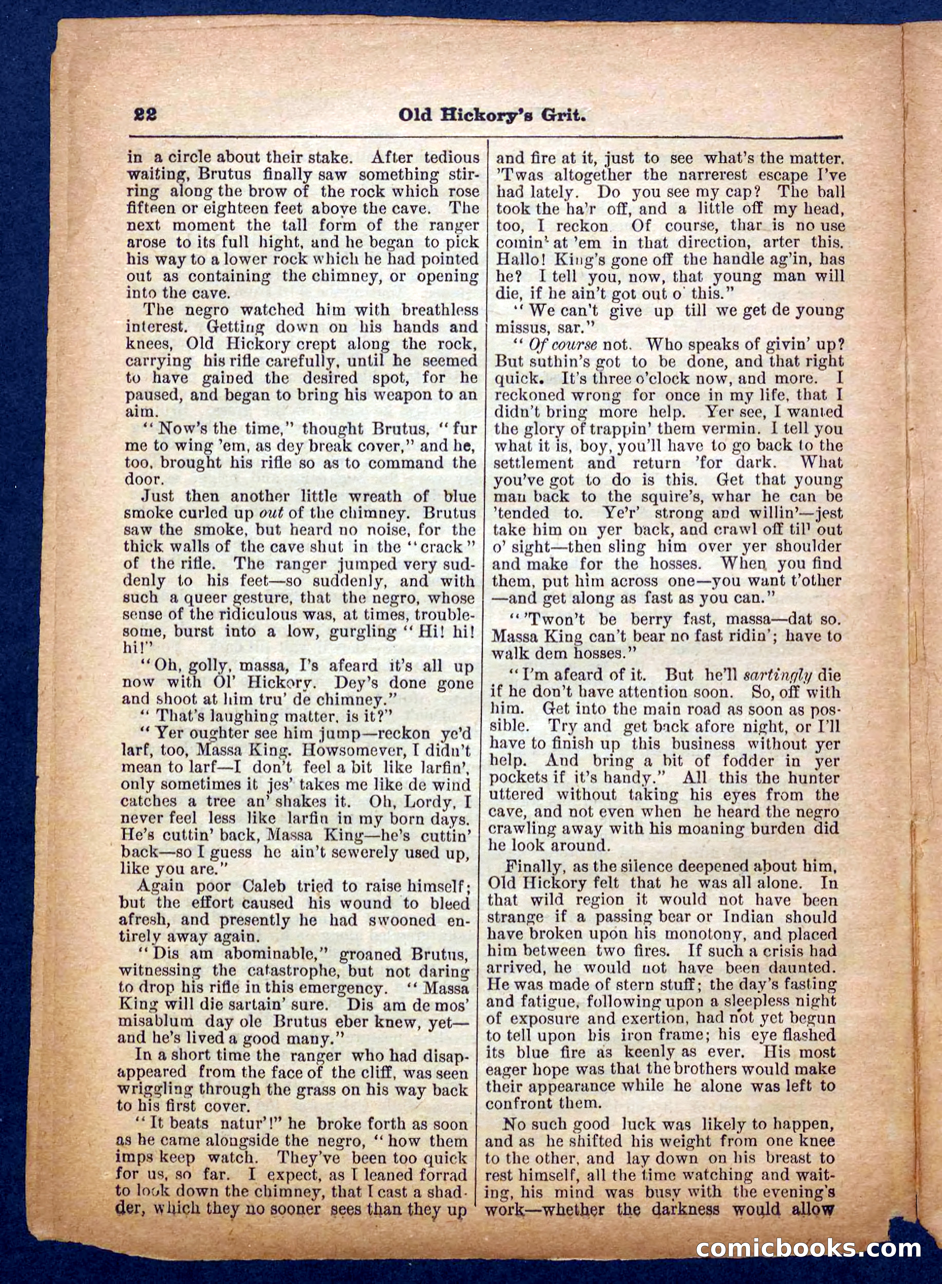Beadle's Pocket Library No. 229 — page 22 of 32
