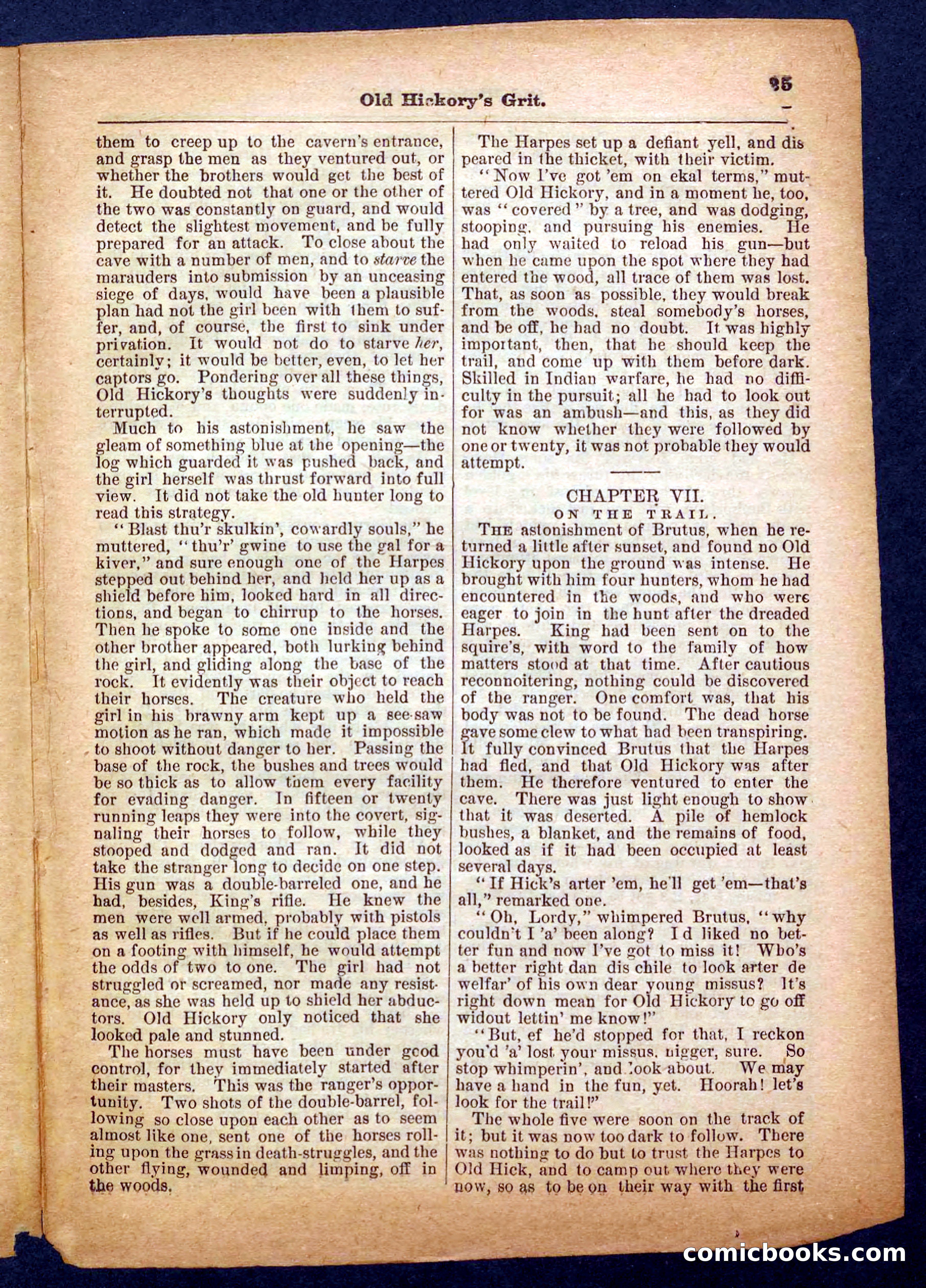 Beadle's Pocket Library No. 229 — page 23 of 32