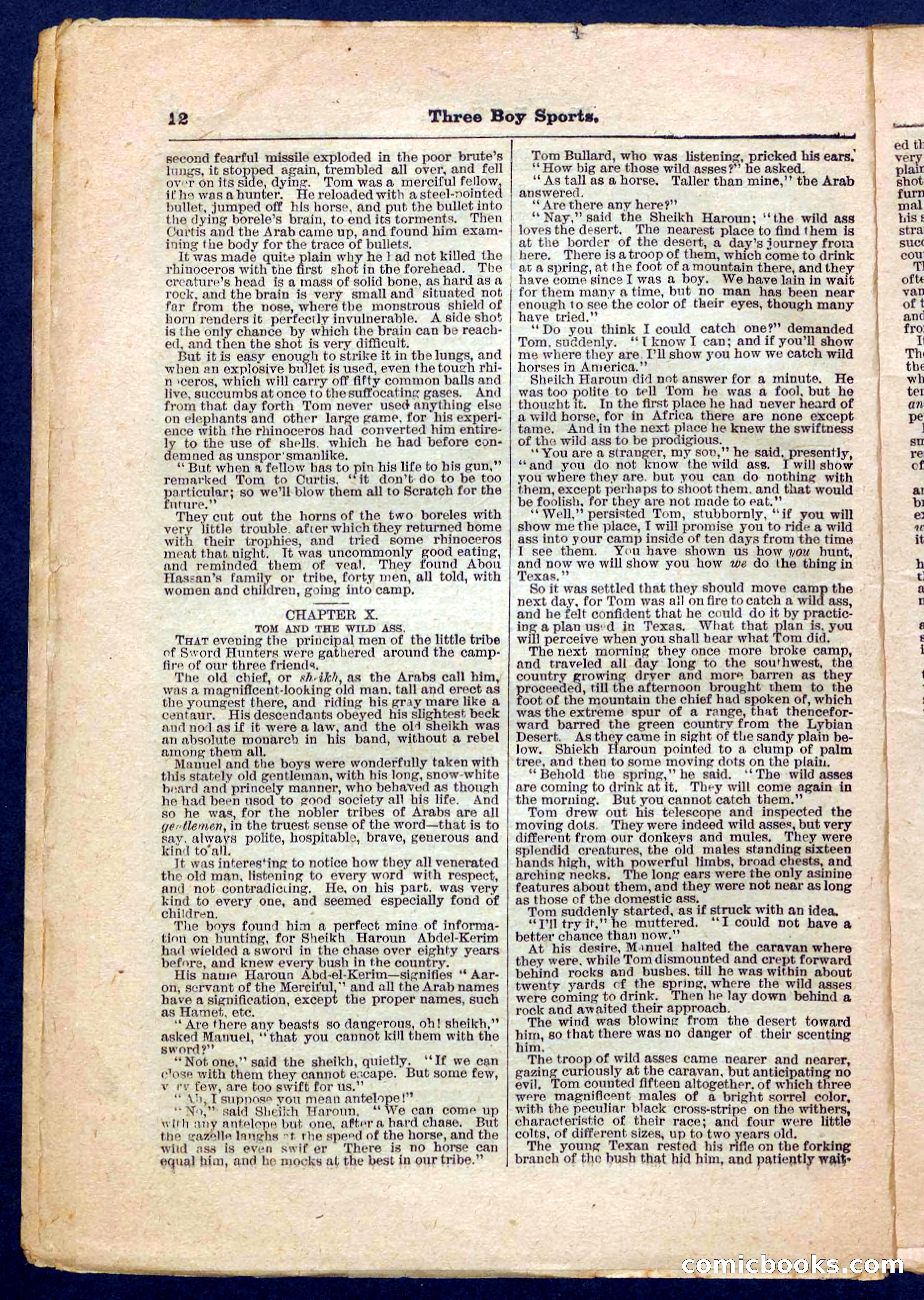 Beadle's Pocket Library No. 230 — page 12 of 32