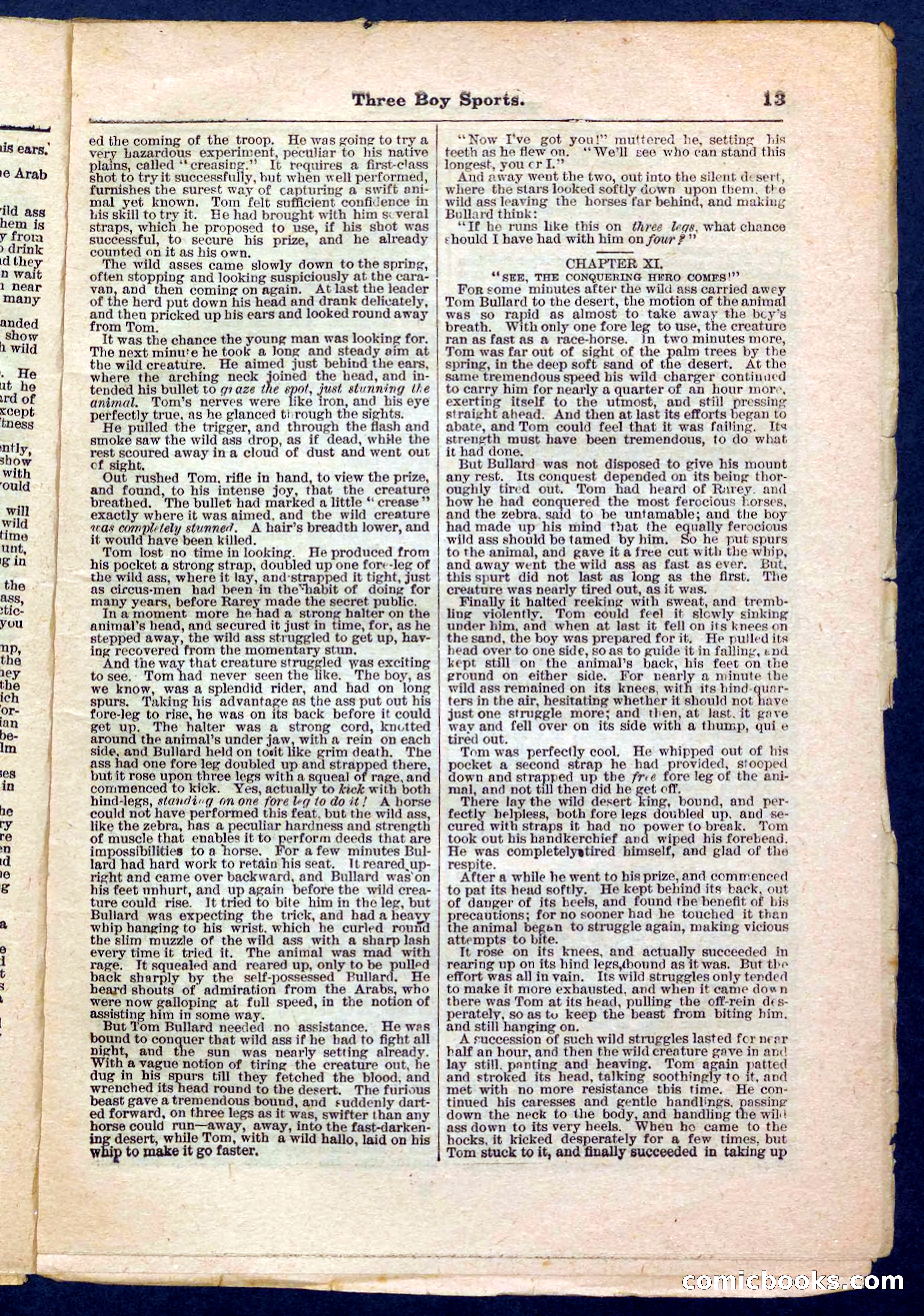 Beadle's Pocket Library No. 230 — page 13 of 32