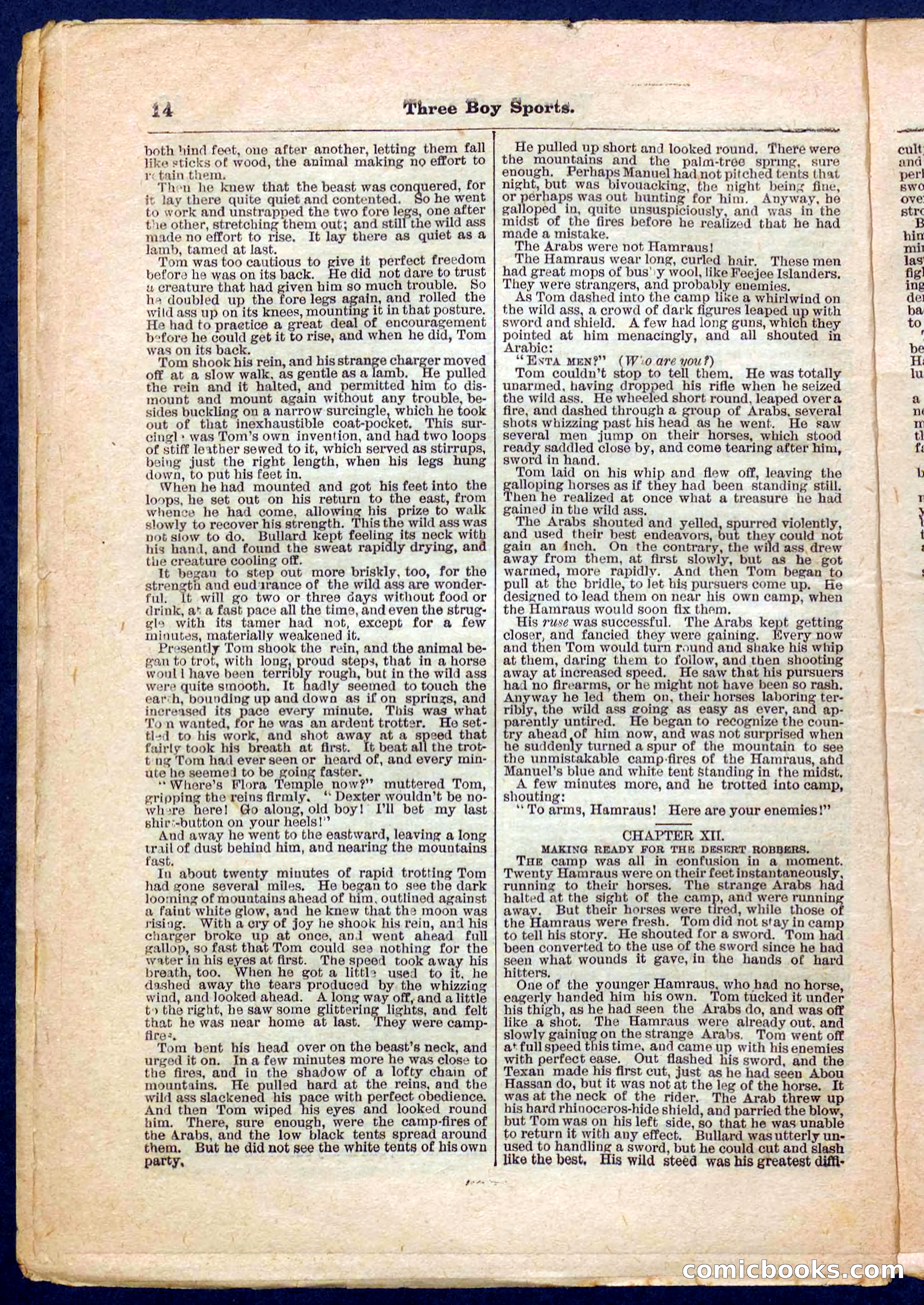 Beadle's Pocket Library No. 230 — page 14 of 32