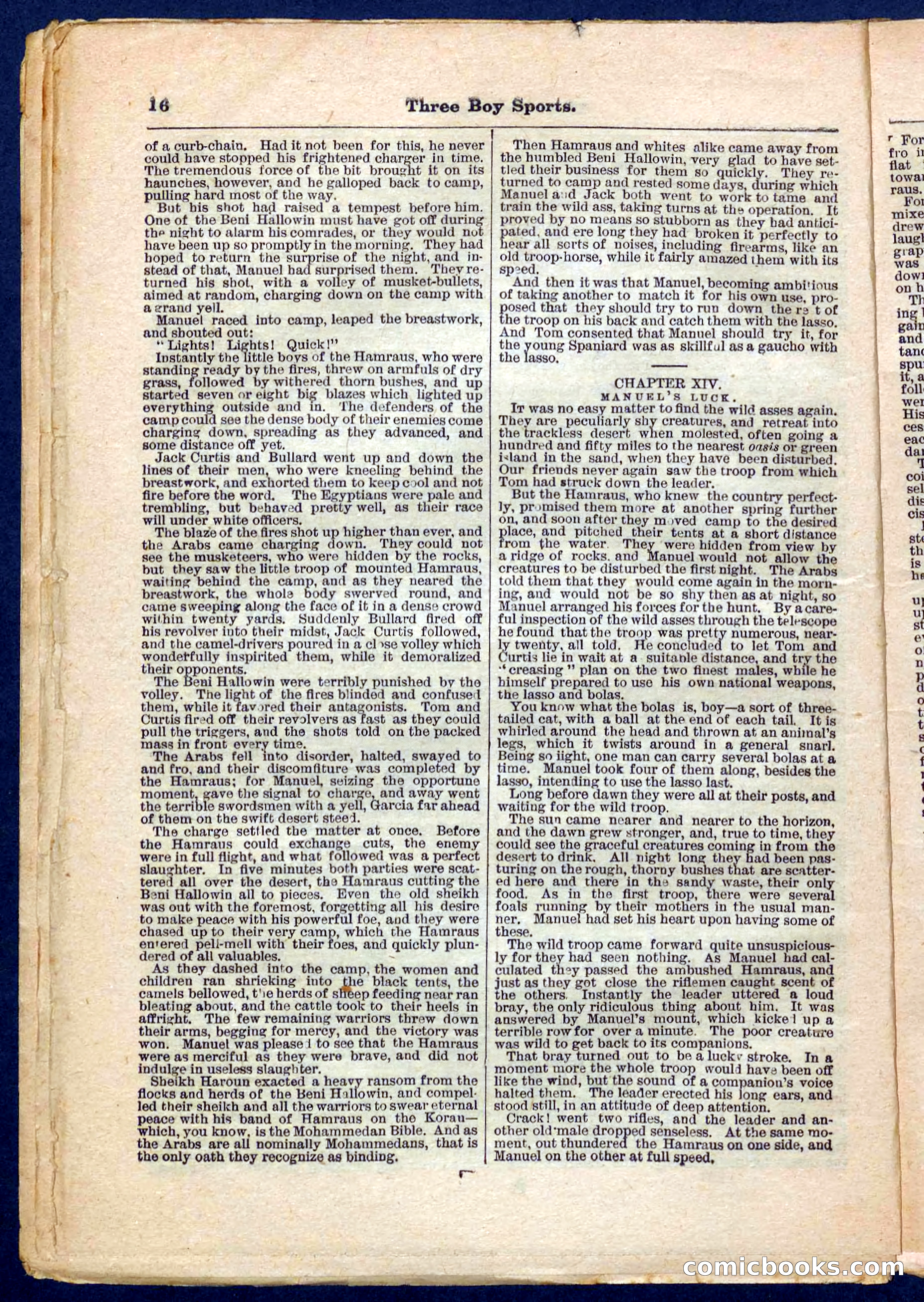 Beadle's Pocket Library No. 230 — page 16 of 32
