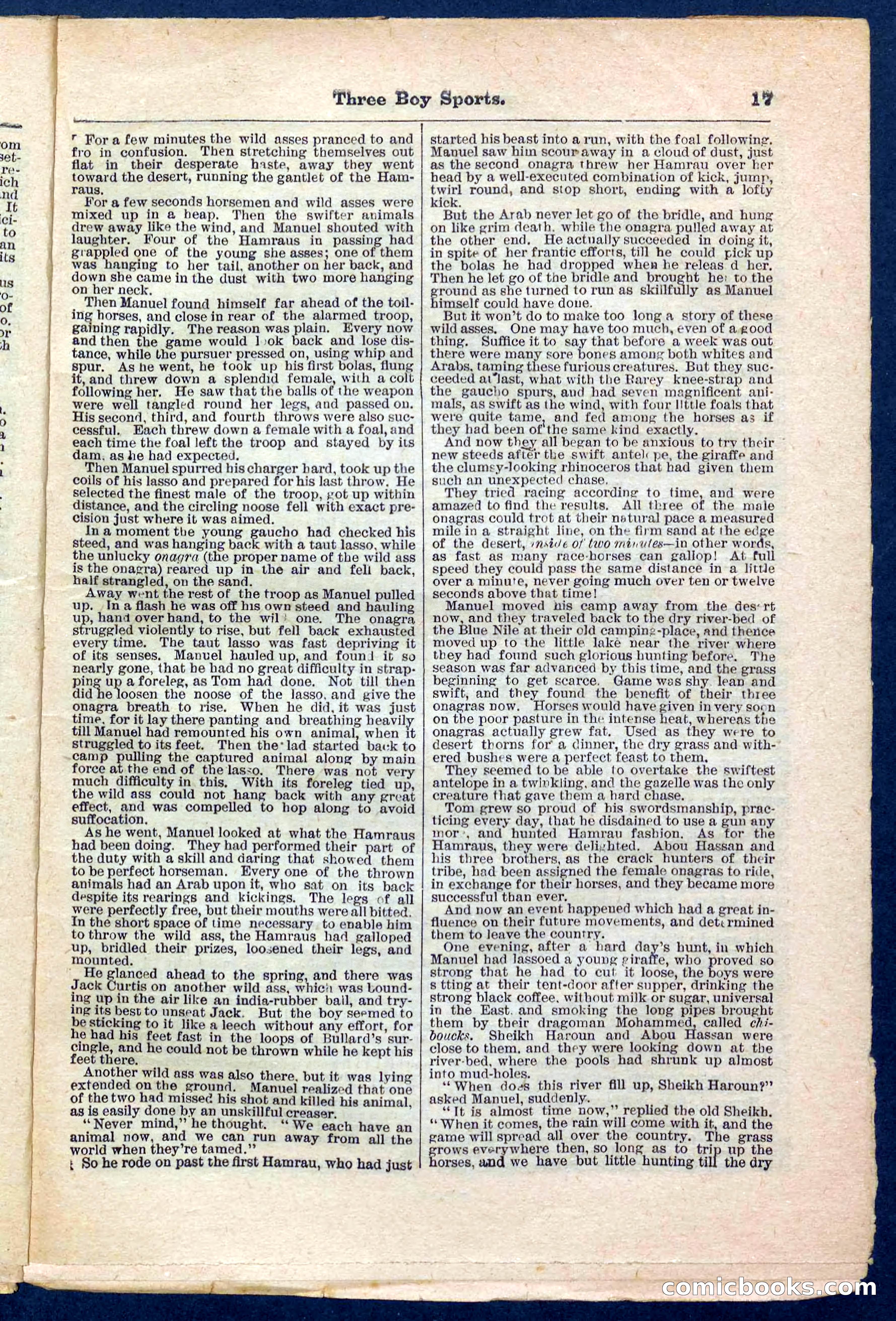 Beadle's Pocket Library No. 230 — page 17 of 32